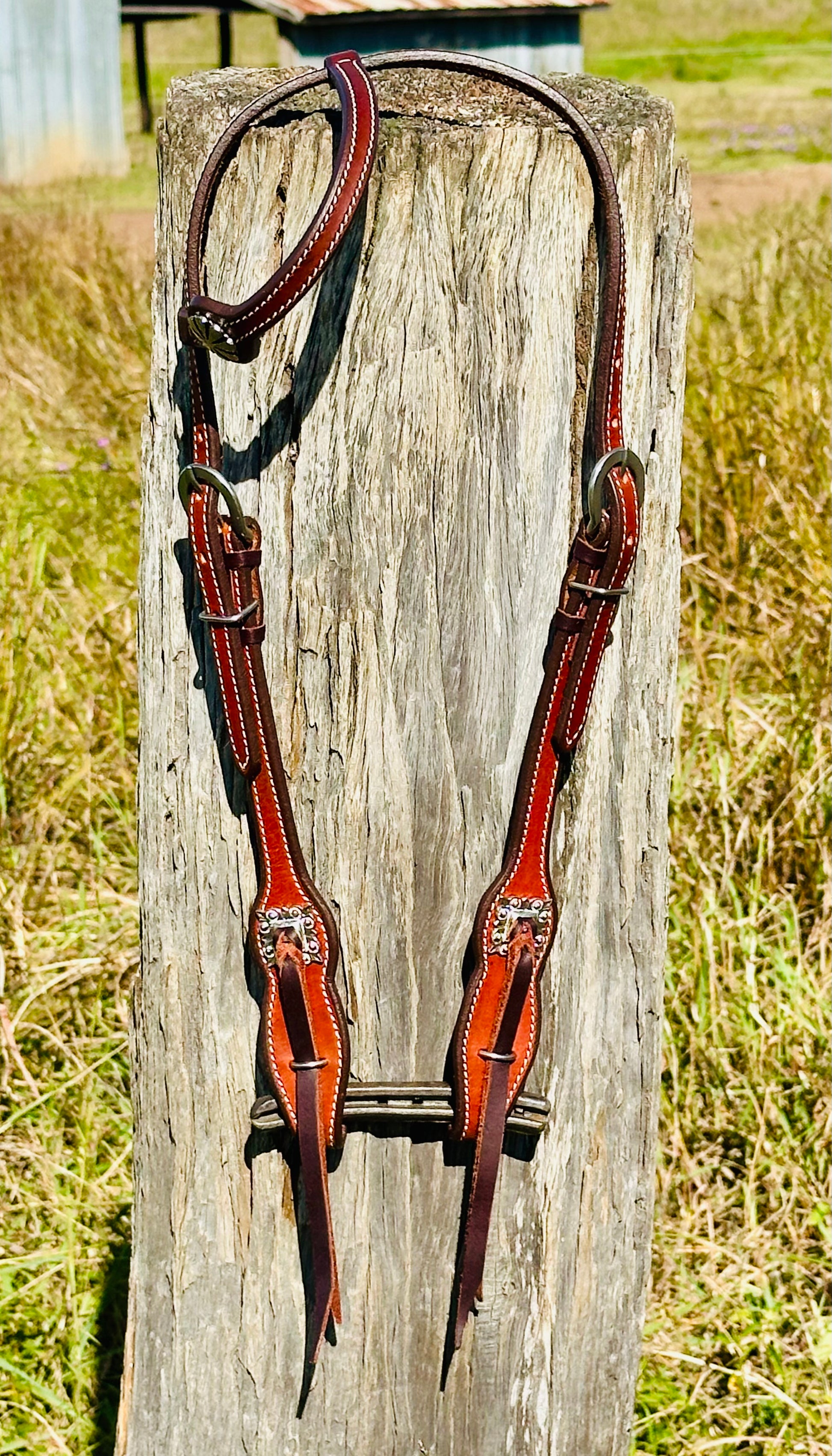 Dustybutt Argentina Leather Quick Change One Eared Bridle - Dustybutts Australia