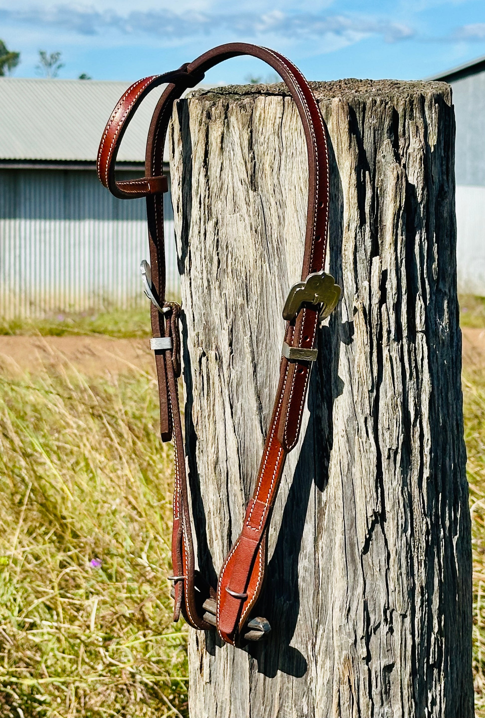 Dustybutt Argentina Leather Quick Change One Eared Bridle - Dustybutts Australia