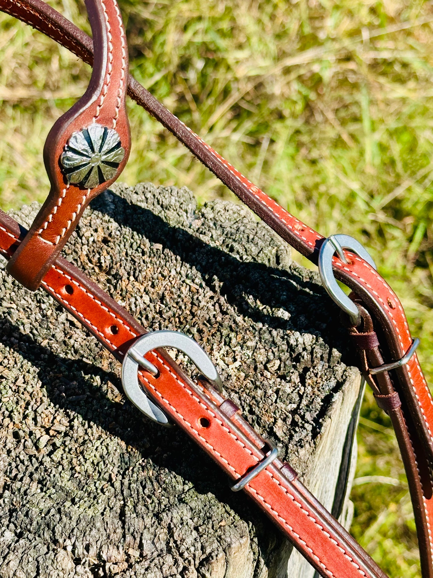 Dustybutt Argentina Leather Quick Change One Eared Bridle