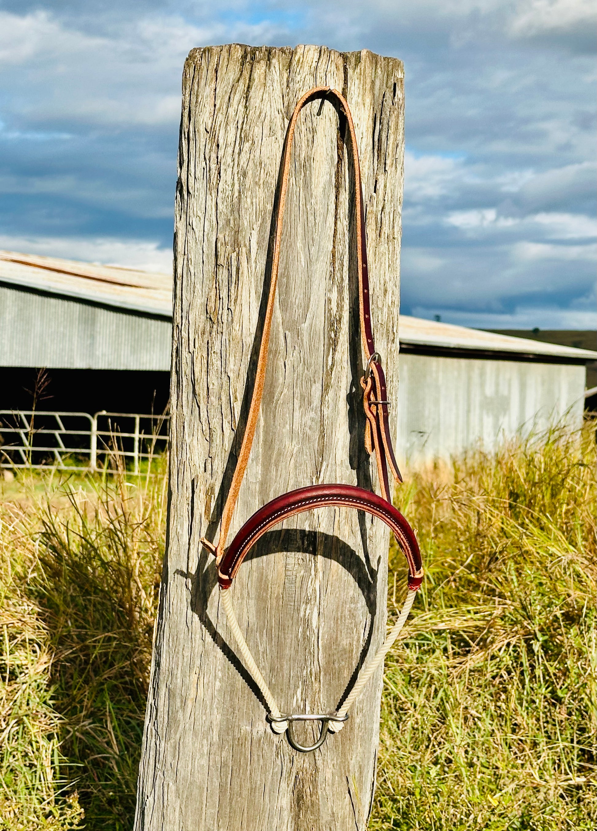Argentina Leather Single Rope Noseband  Tiedown - Dustybutts Australia