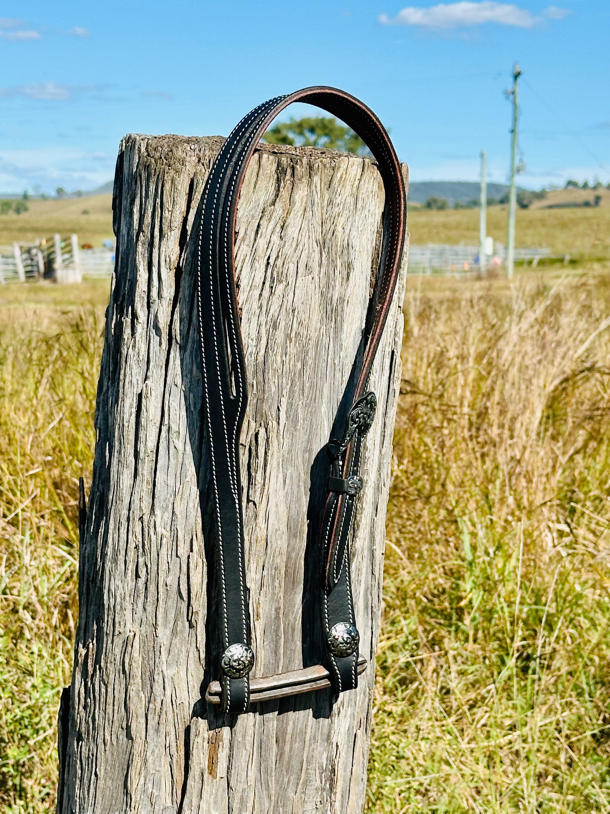 Dustybutts Argentina Leather Split Eared Bridle - Dustybutts Australia