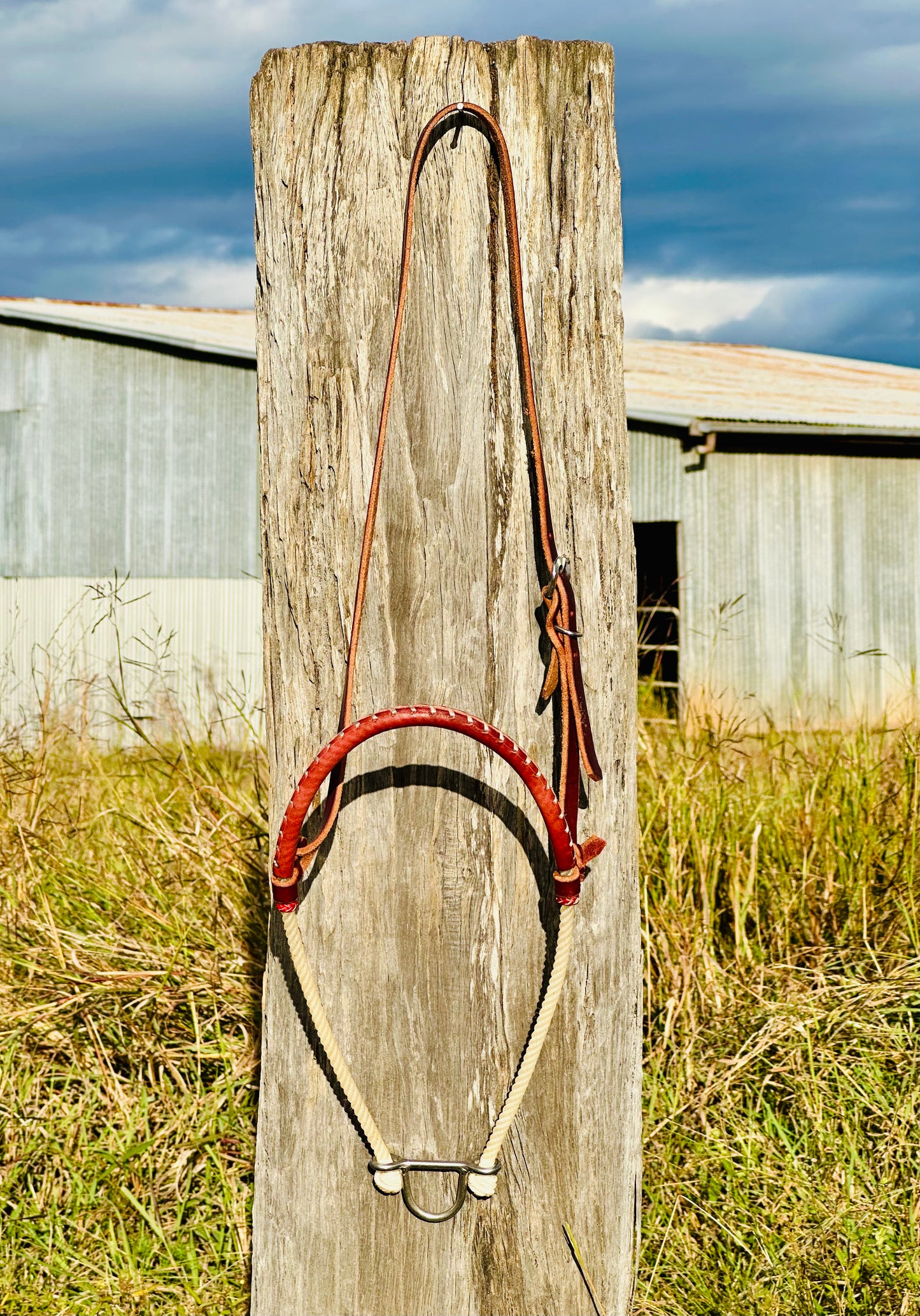 Stitched Argentina Leather Single Rope Noseband Tiedown