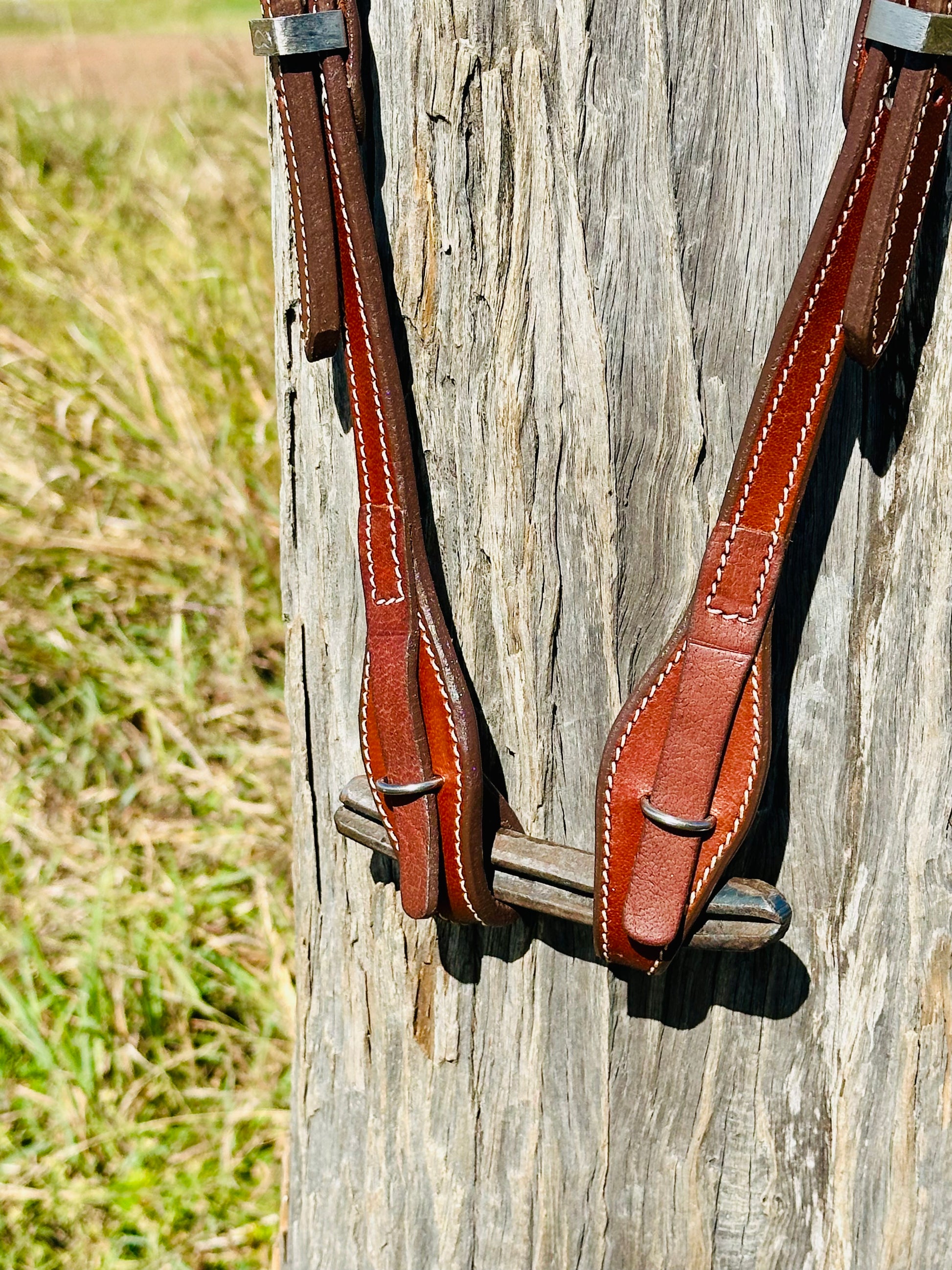 Dustybutt Argentina Leather Quick Change One Eared Bridle - Dustybutts Australia