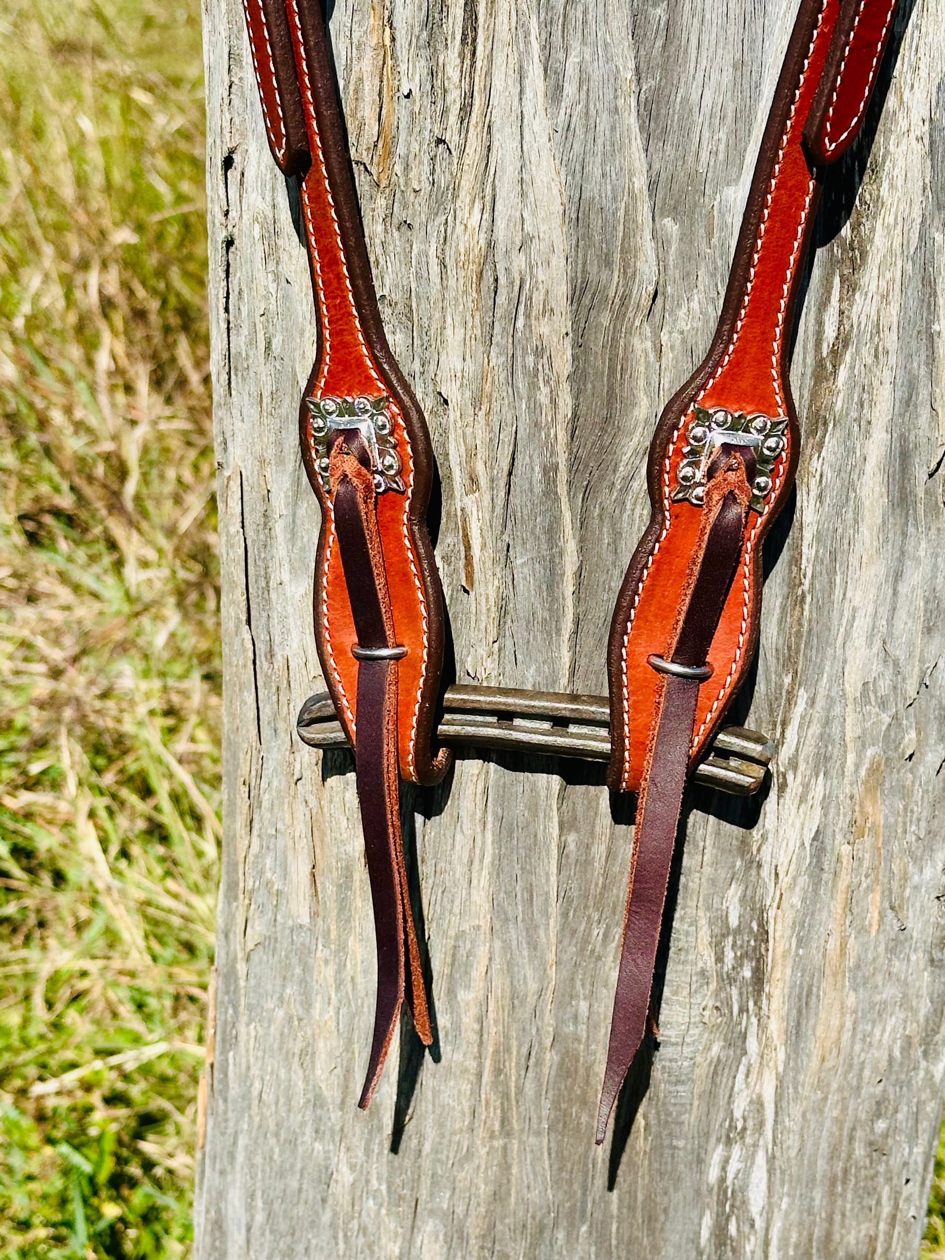 Dustybutt Argentina Leather Quick Change One Eared Bridle - Dustybutts Australia
