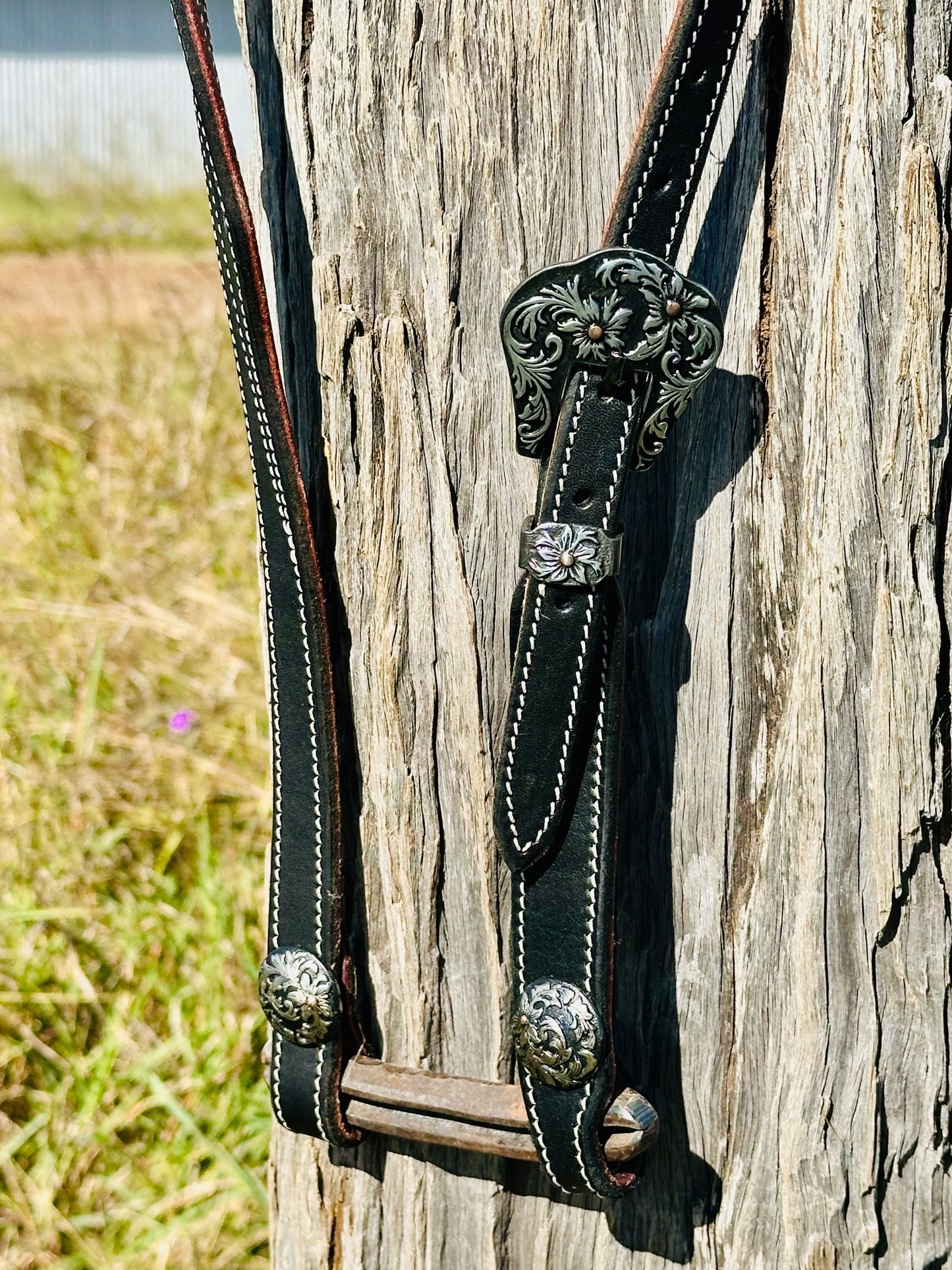 Dustybutts Argentina Leather Split Eared Bridle