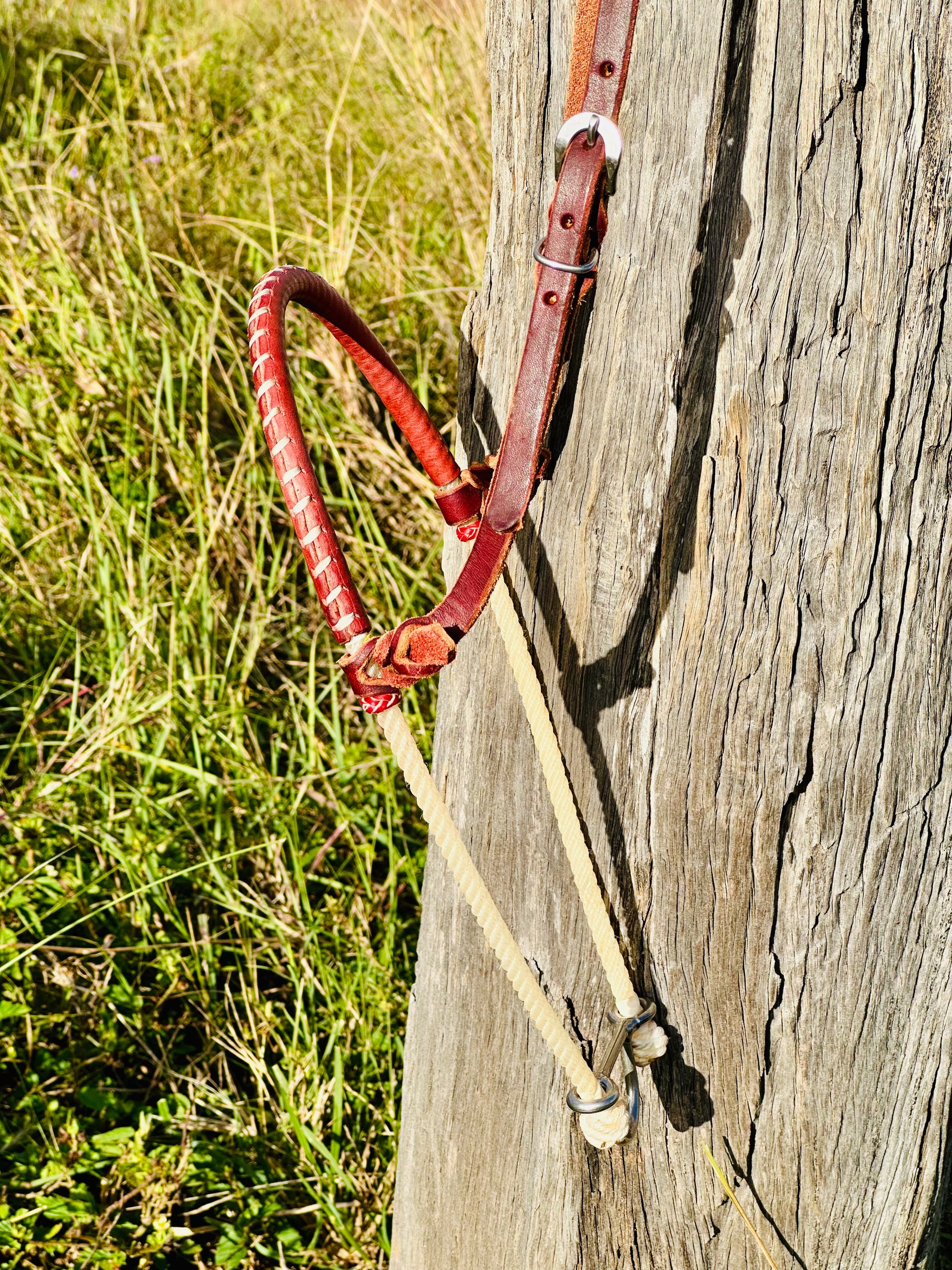 Stitched Argentina Leather Single Rope Noseband Tiedown - Dustybutts Australia