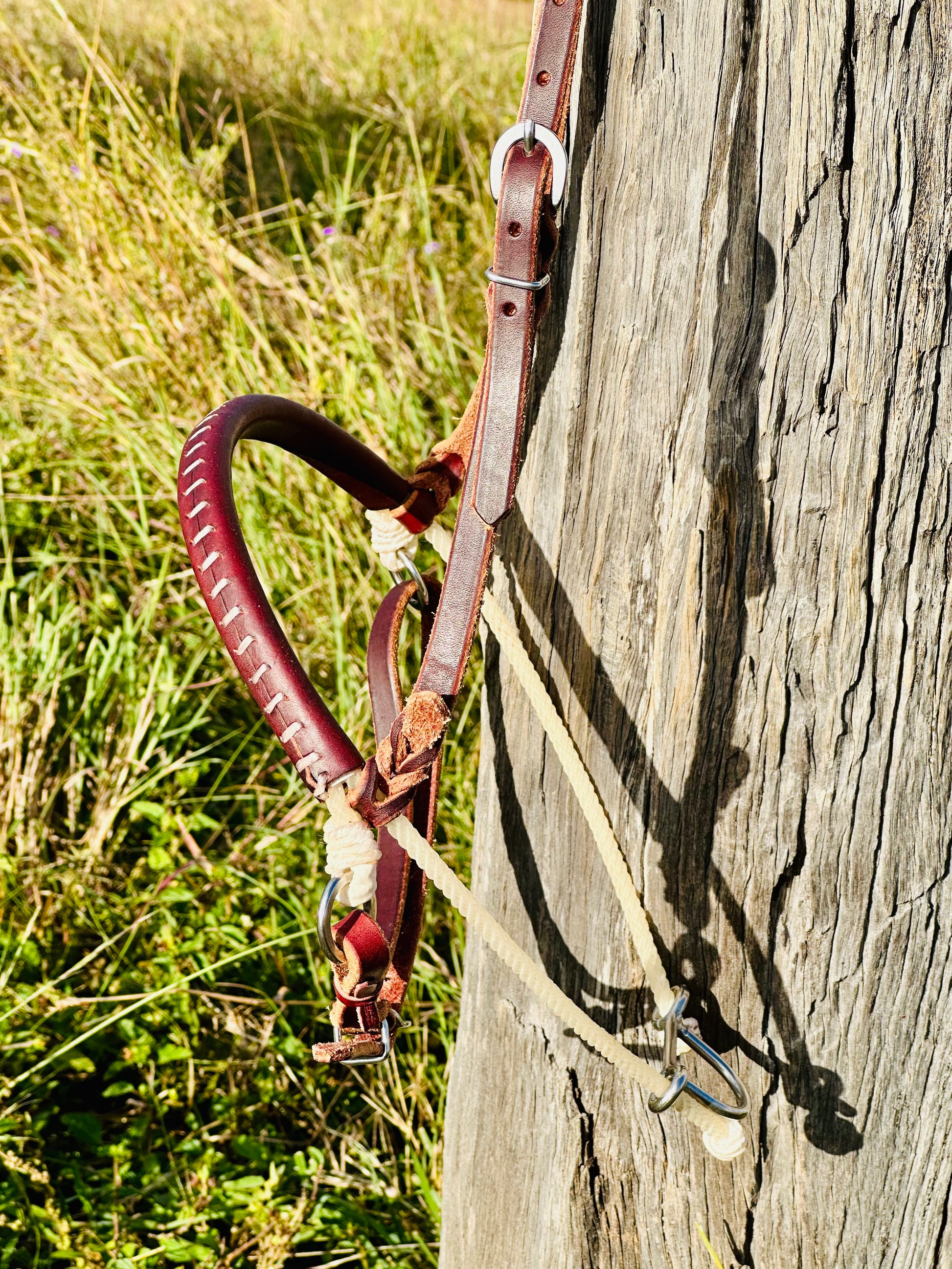 Argentina Leather Single Rope Cavesson Noseband Tiedown - Dustybutts Australia