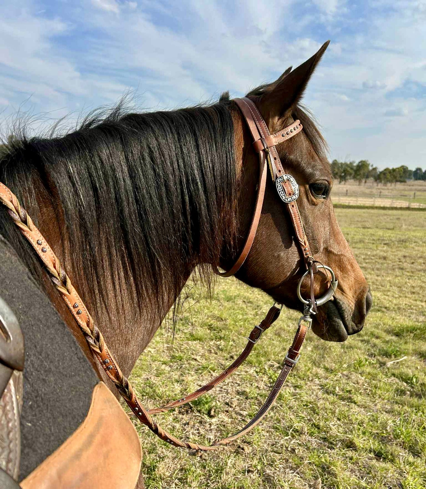 Dustybutts Harness Leather Bloodknot Barrel / Roping Reins With Sunspot Studs