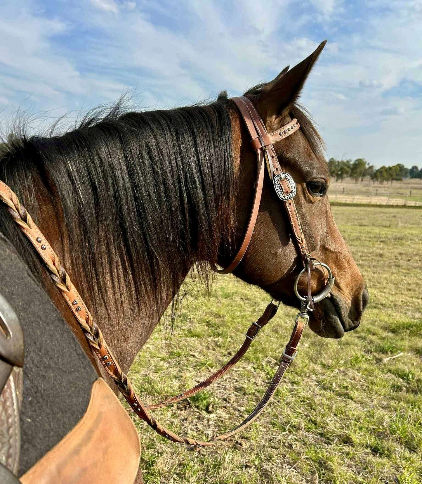 AC7CEA10-4D03-4F3A-B2F6-BF3D91F5DE4B