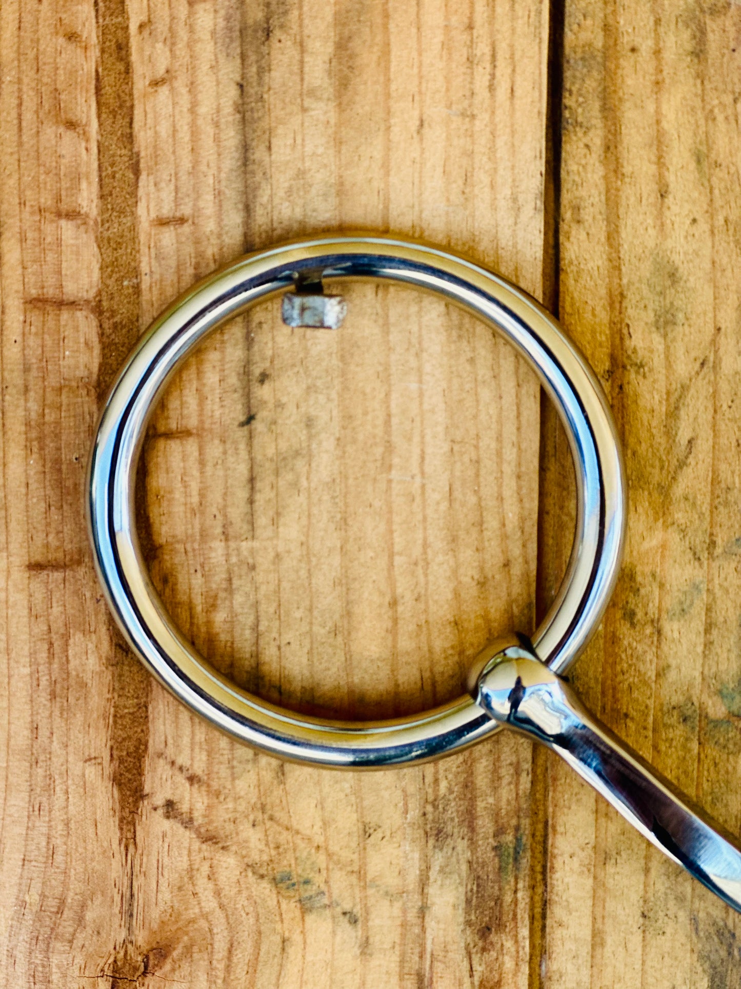 Dustybutts Weighted Loose Ring Square Snaffle Bit With Lifesaver