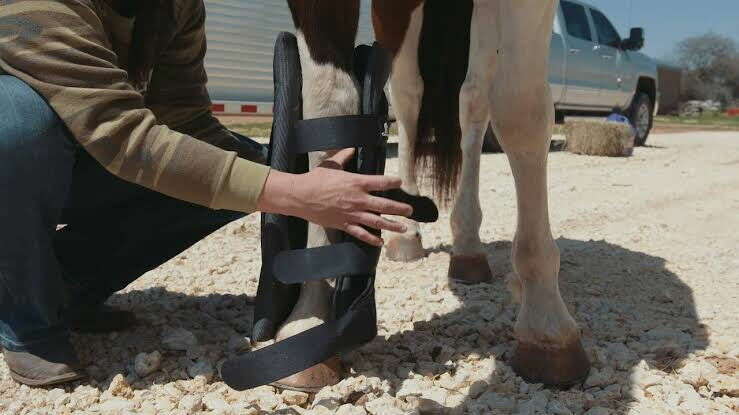 Classic_Equine_Ceramic_Wraps_-_Medium_14_-_-_Dustybutts_Australia-3792208