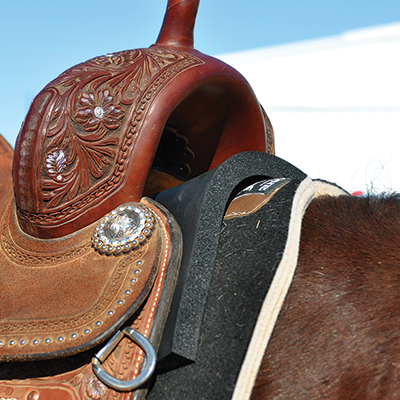 Classic Equine Saddle Shims - Dustybutts Australia