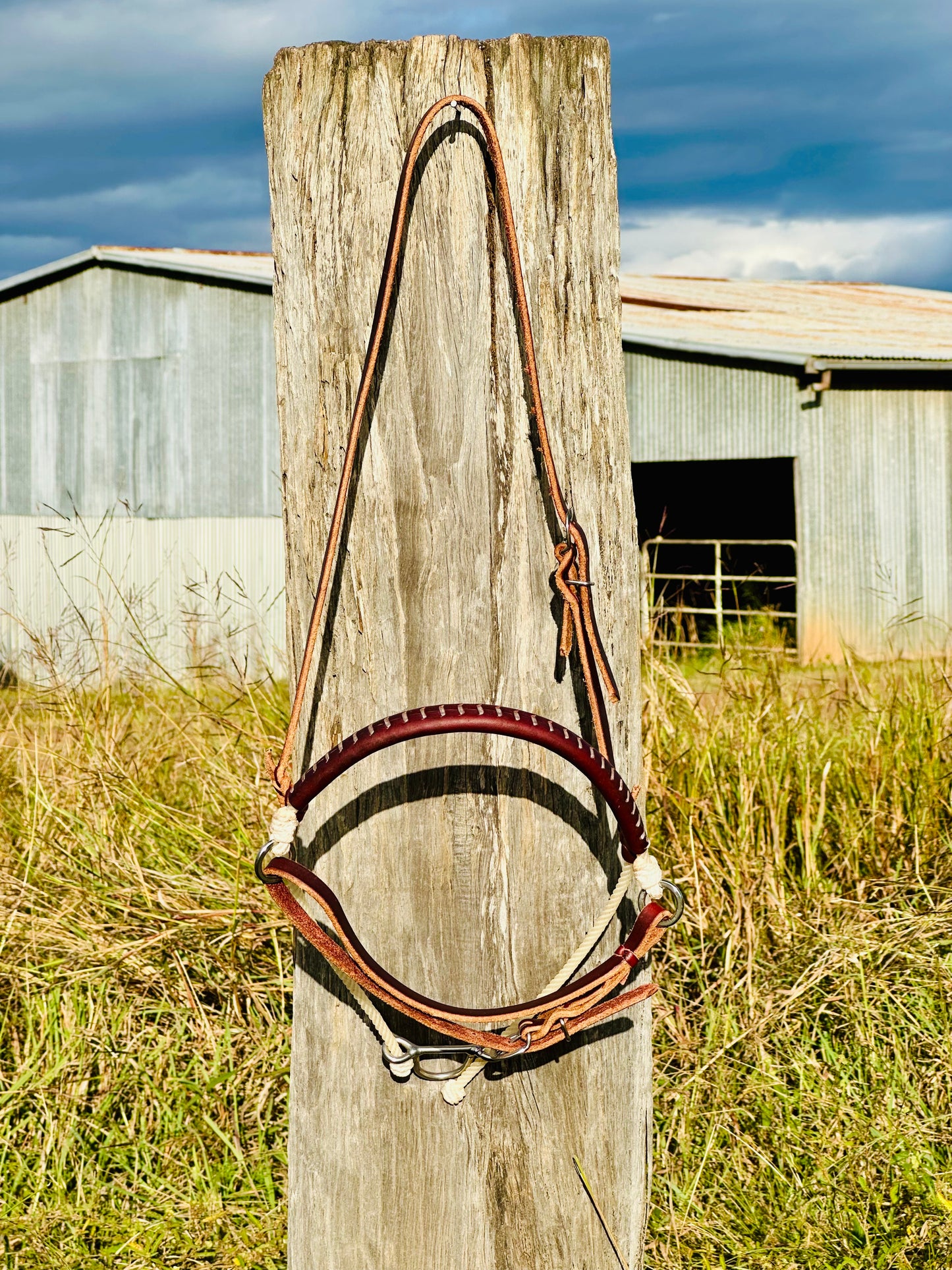 Argentina Leather Single Rope Cavesson Noseband Tiedown