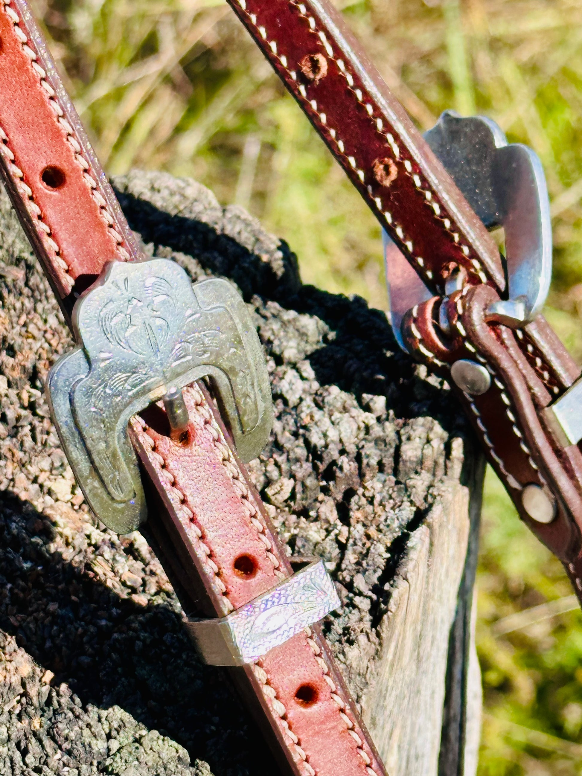Dustybutt Argentina Leather Quick Change One Eared Bridle - Dustybutts Australia