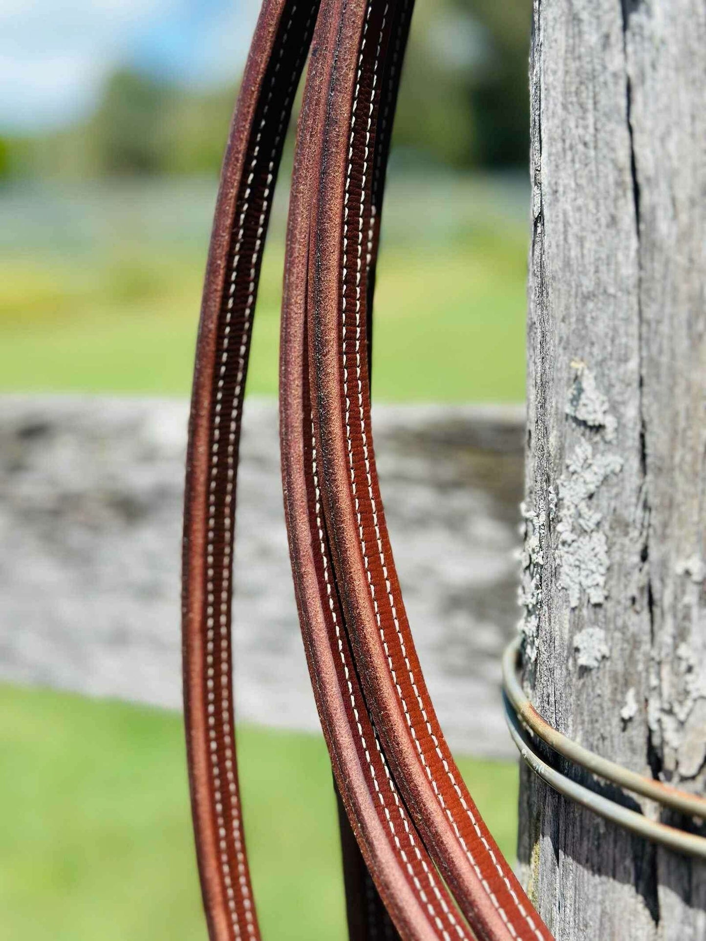 Dustybutts_5-8_Oiled_Harness_Leather_Split_Reins_-_-_Dustybutts_Australia-3792843