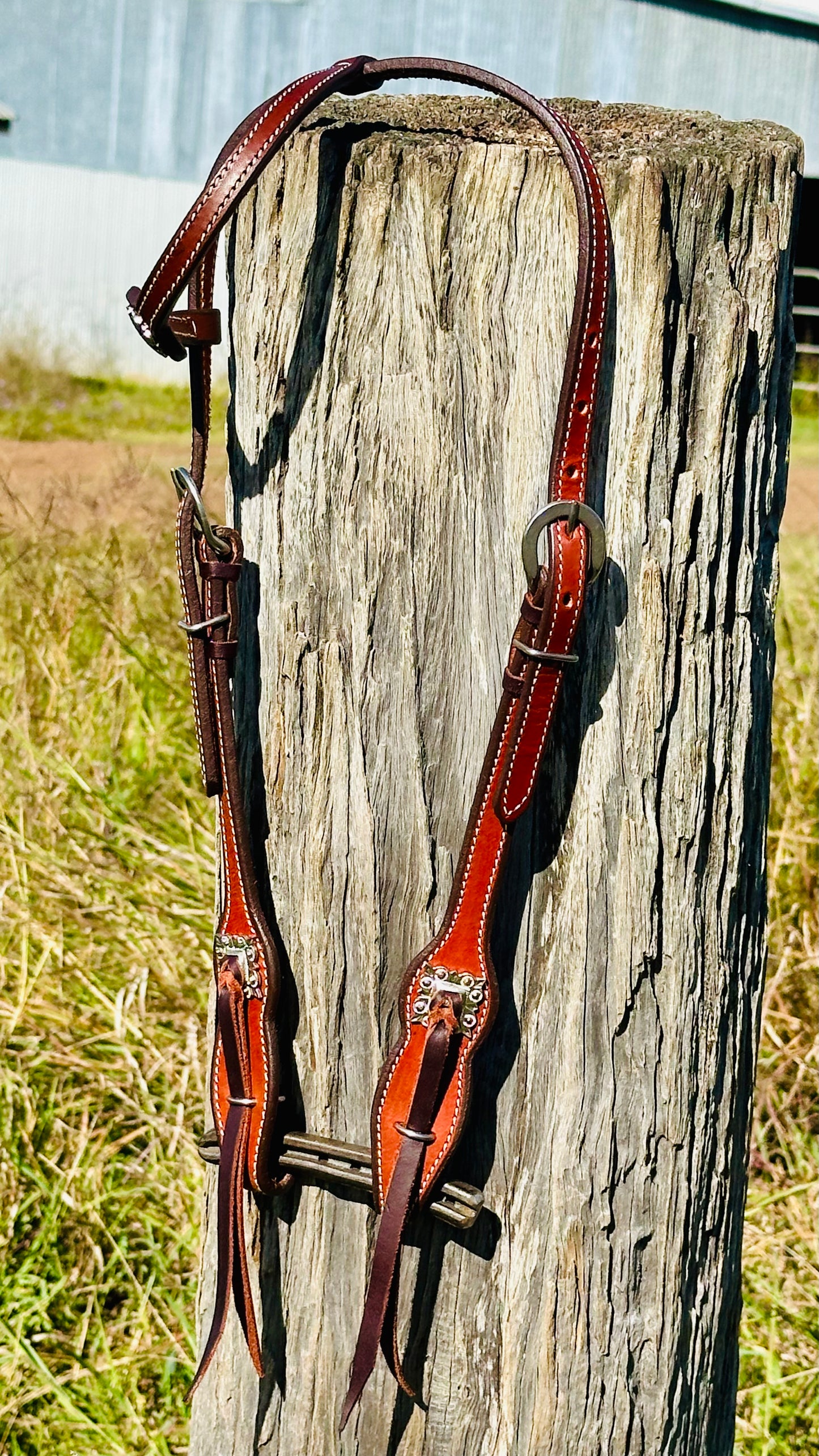 Dustybutt Argentina Leather Quick Change One Eared Bridle