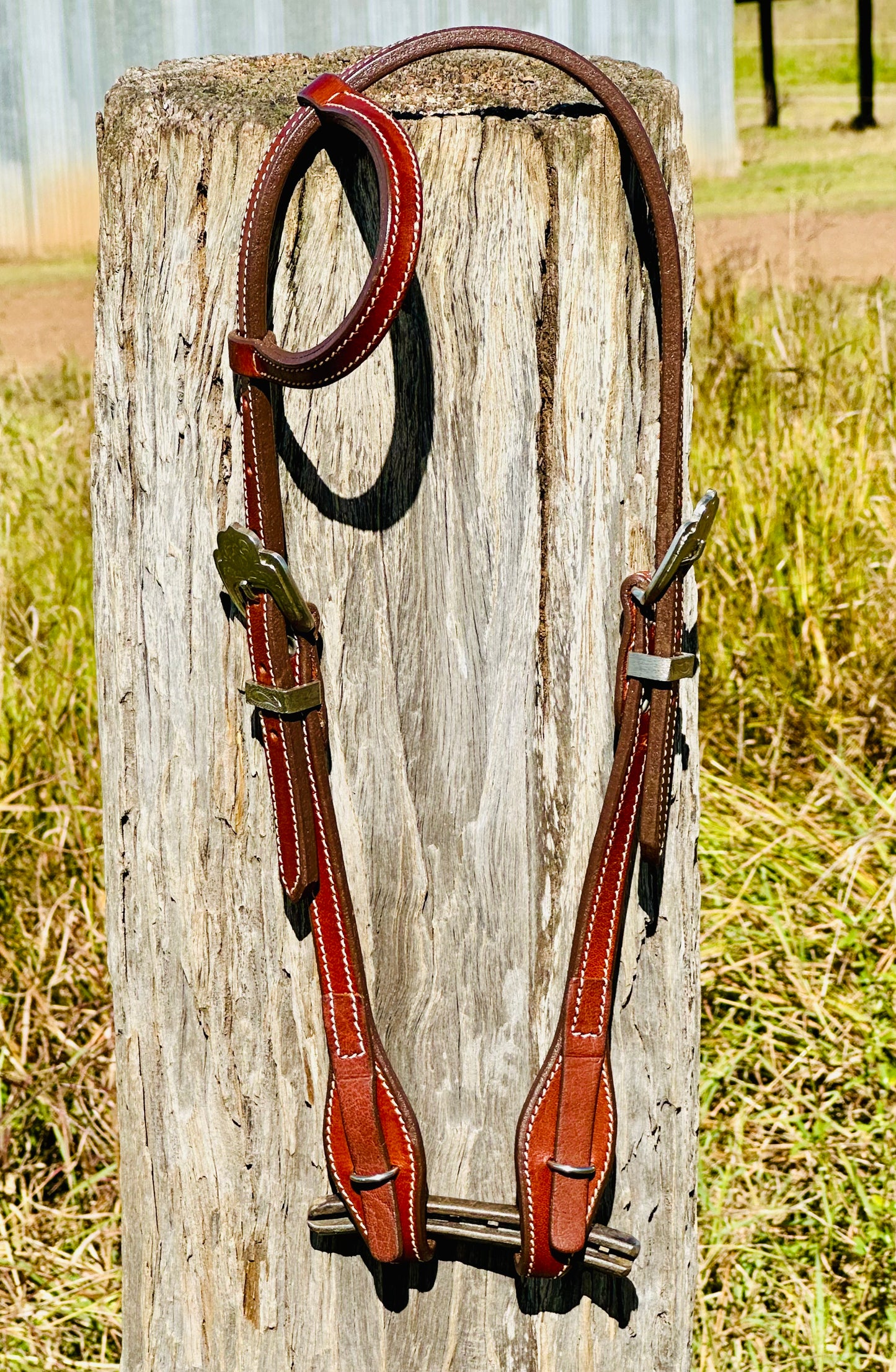 Dustybutt Argentina Leather Quick Change One Eared Bridle