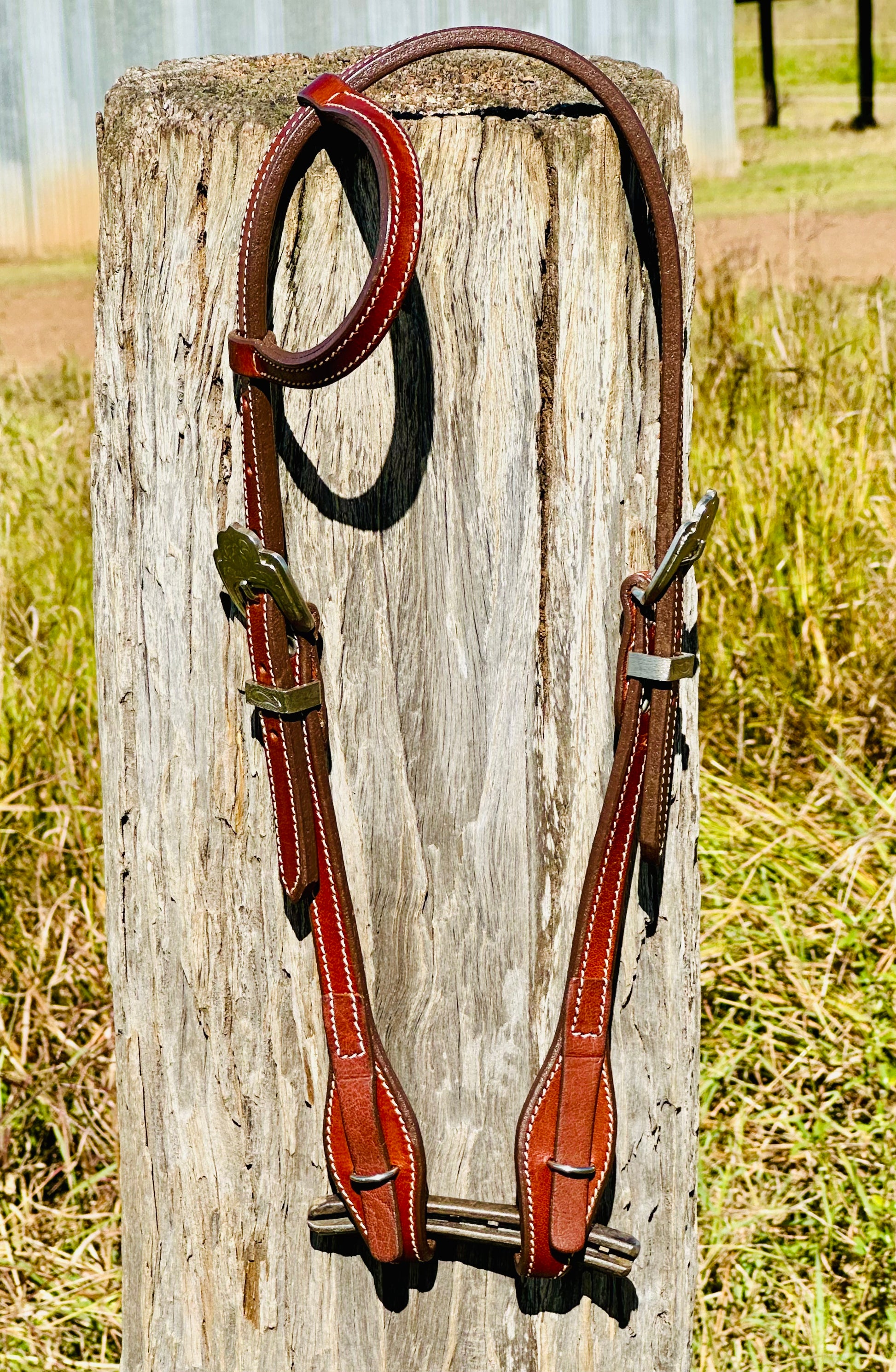 Dustybutt Argentina Leather Quick Change One Eared Bridle - Dustybutts Australia