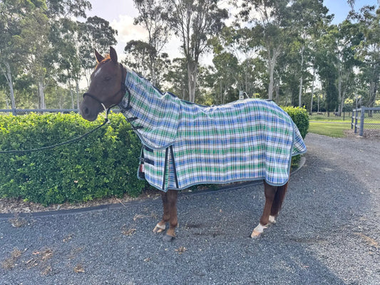 Ruby Rose Walker PVC Shade Mesh Horse Rug Combo - Dustybutts Australia
