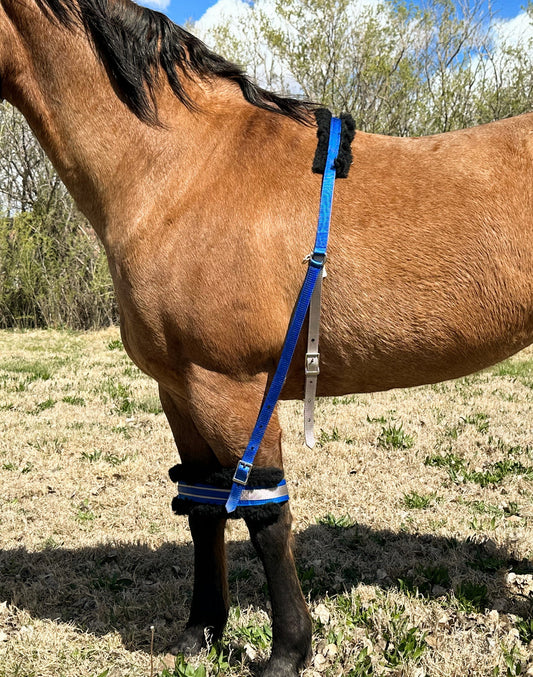 Equine Supply Stall Hobbles - Dustybutts Australia