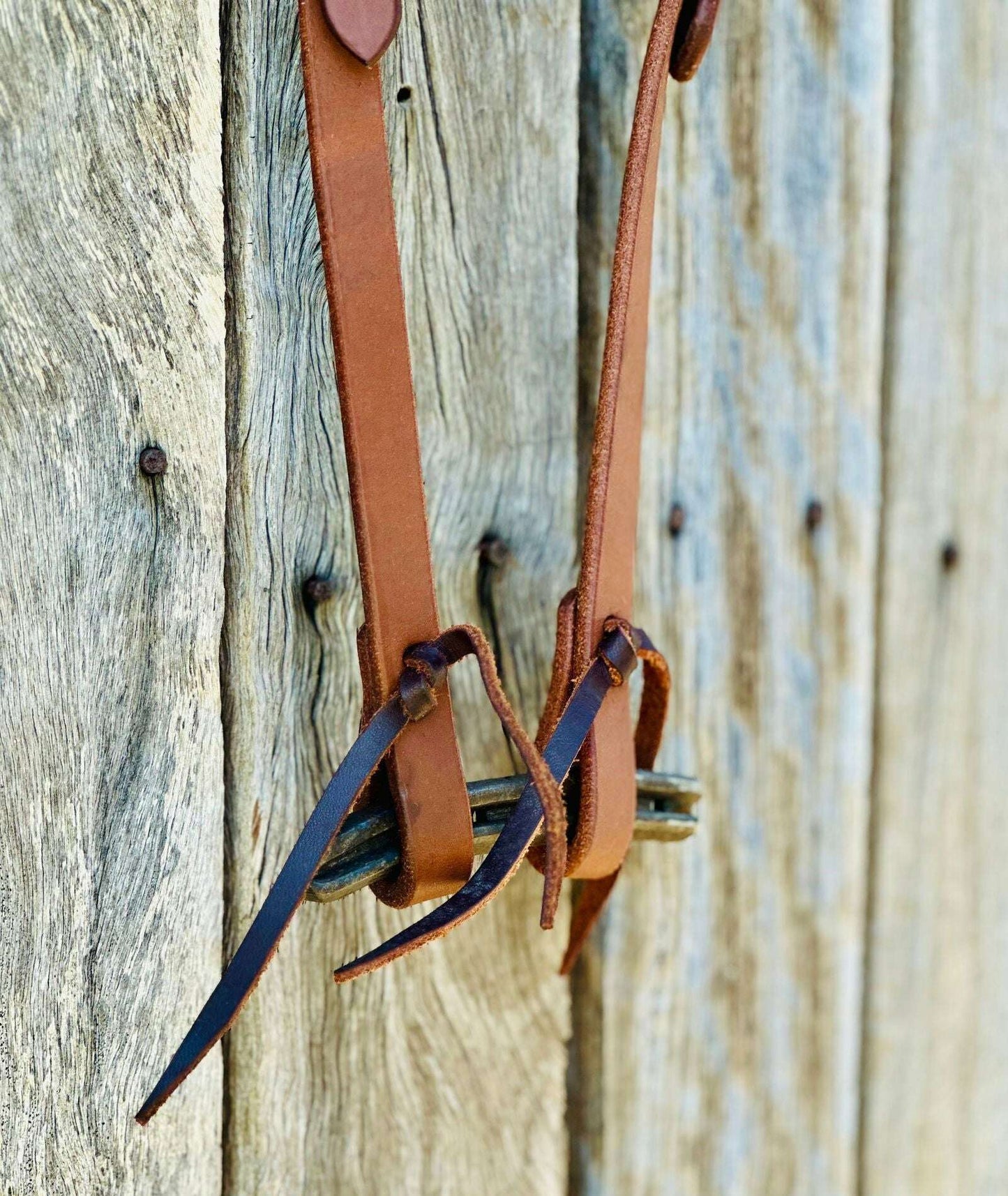 Oiled_Harness_Leather_One_Eared_Bridle_With_Antique_Floral_Buckles_-_Dustybutts_Australia-7509283