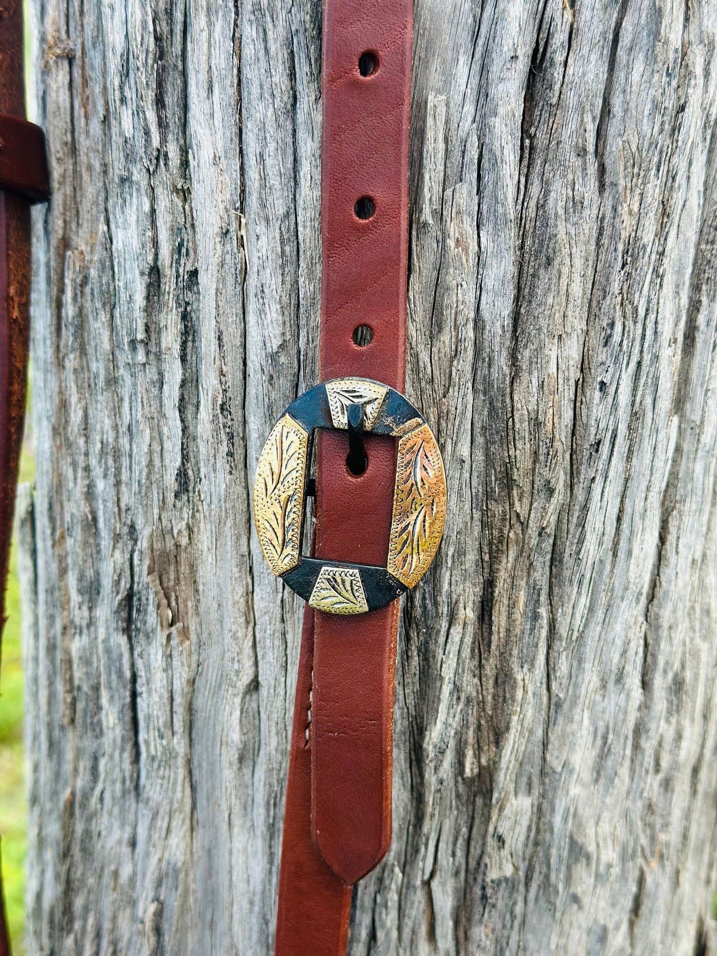 Oiled Harness Single Ear Bridle With Detailed Antique Buckle - Dustybutts Australia