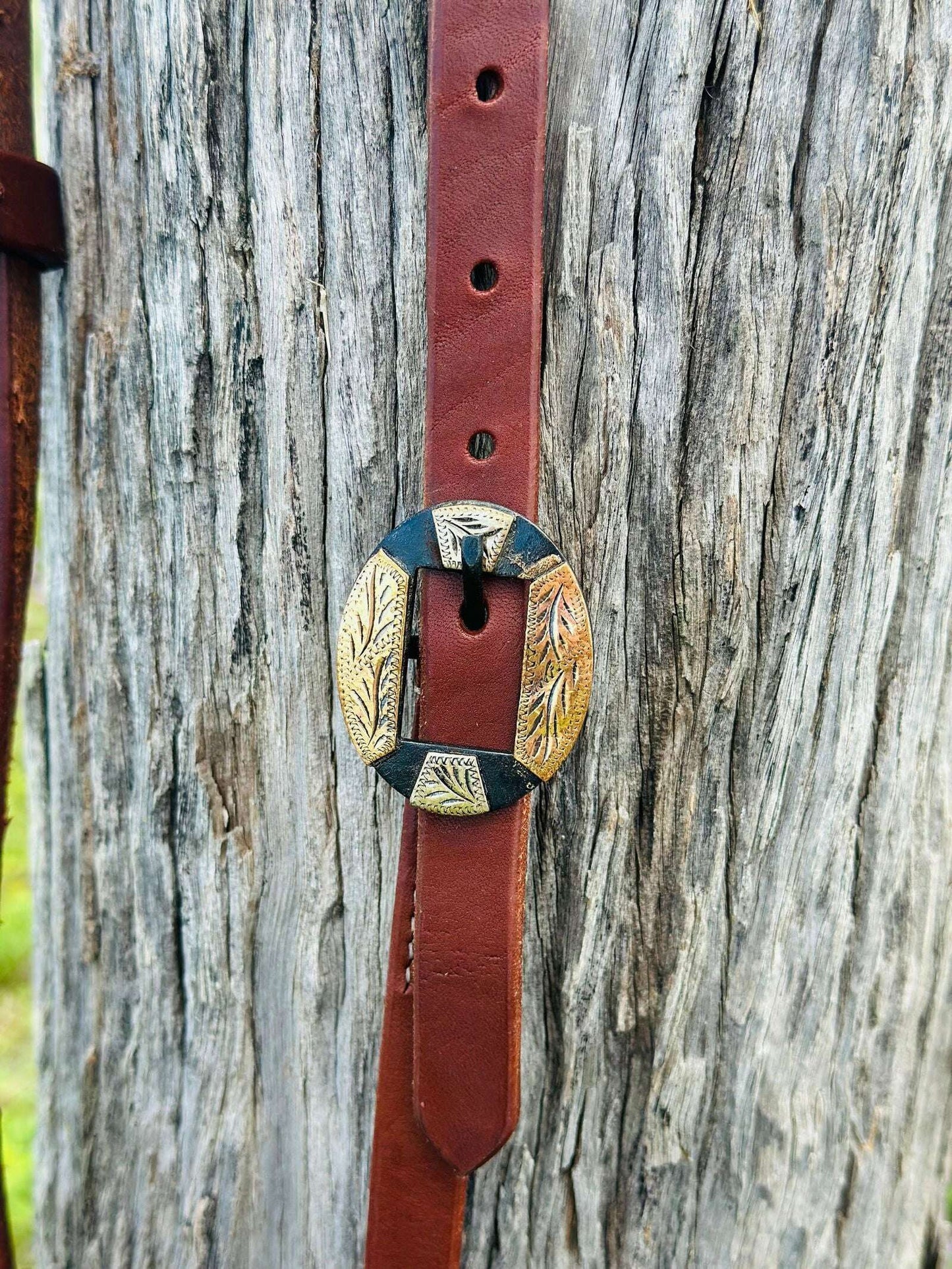 Oiled_Harness_Single_Ear_Bridle_With_Detailed_Antique_Buckle_-_Dustybutts_Australia-7509410