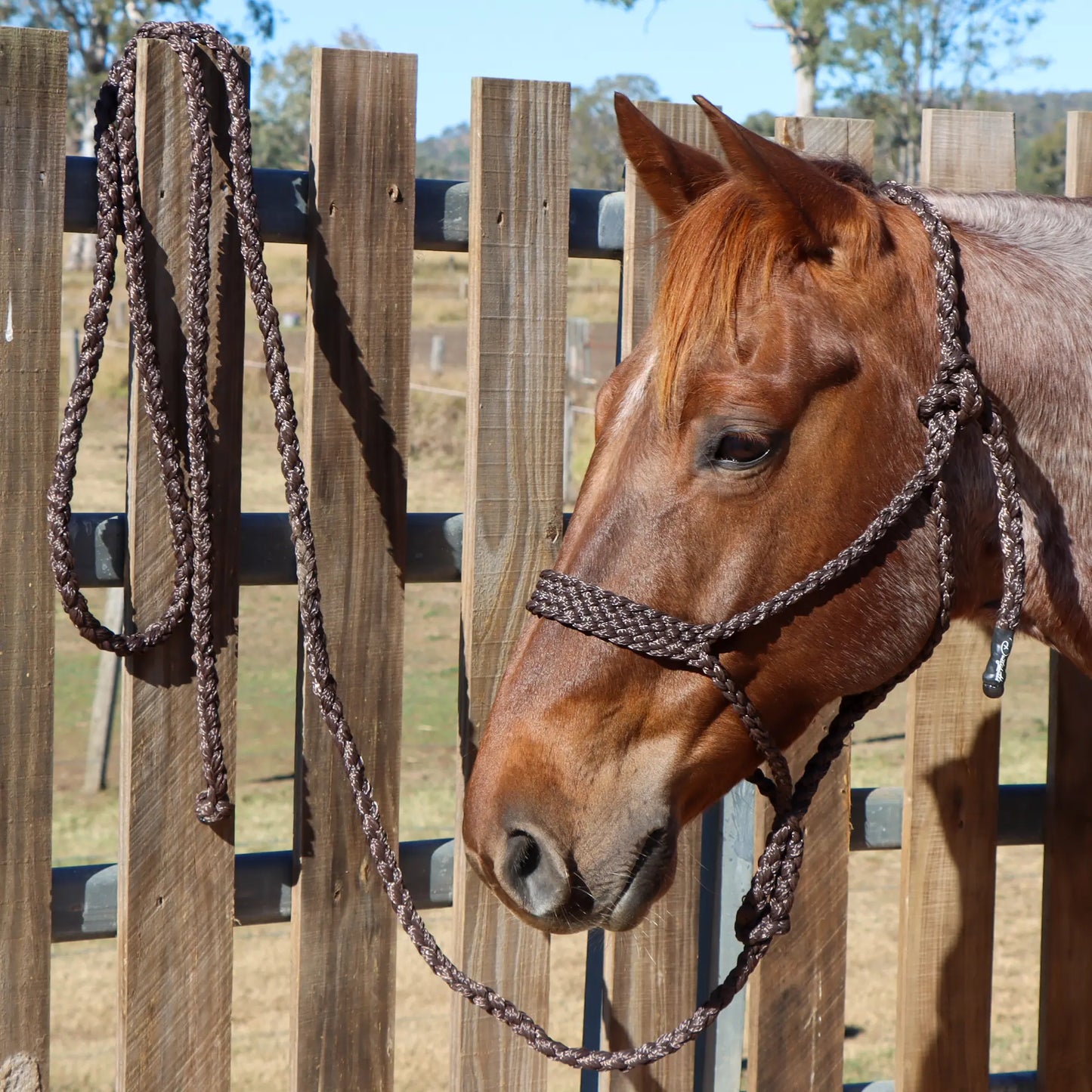 Dustybutts Flat Braid Mule Tape Halter // Brown