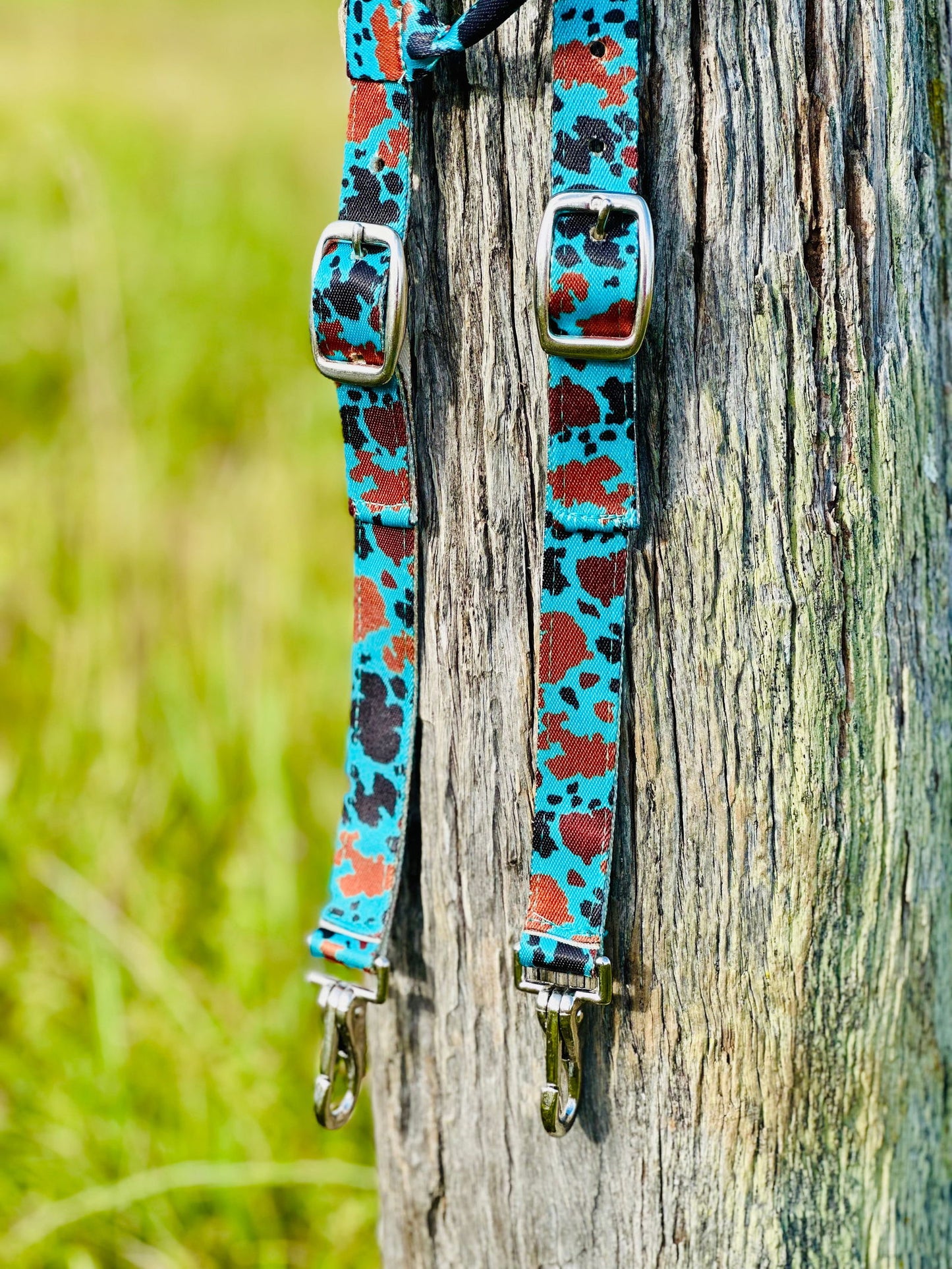Quick Change Nylon One Eared Bridle - Teal Cowhide - Dustybutts Australia
