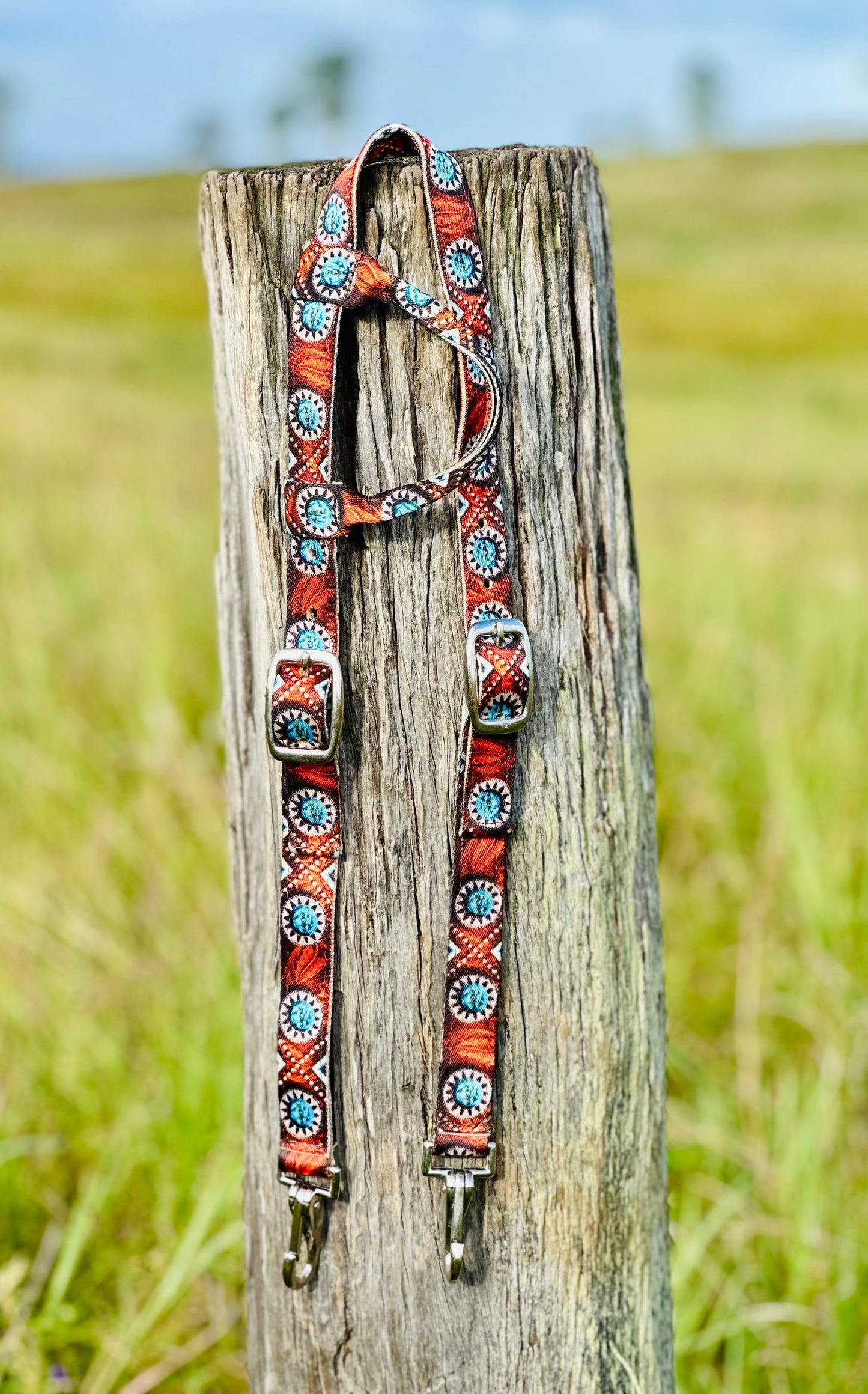 Quick Change Nylon One Eared Bridle - Wild West Feathered - Dustybutts Australia