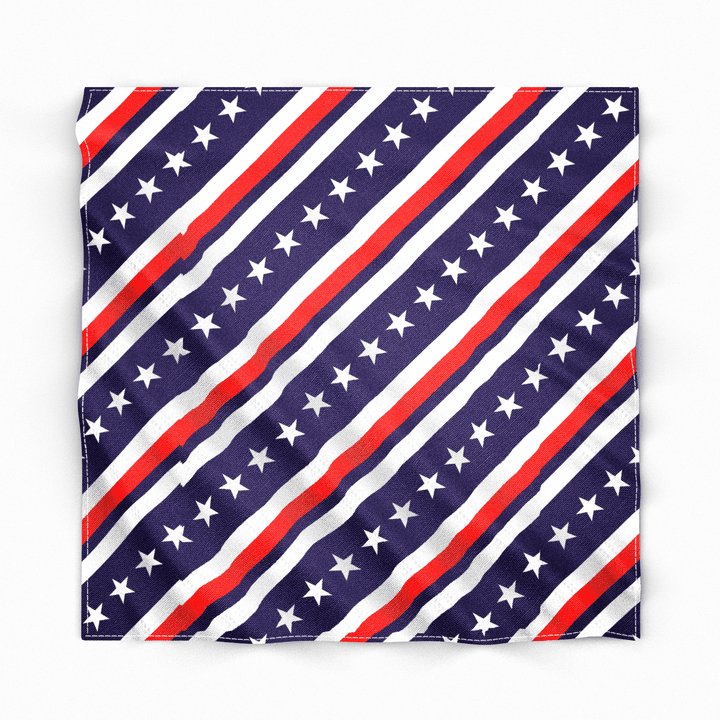Ranch_Dress_n_Wild_Rag_--_Stars_Stripes_-_-_Dustybutts_Australia-3799008