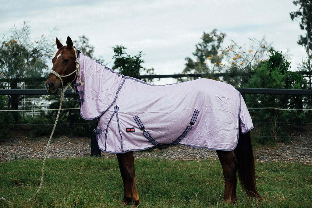 Ruby Rose Fly Mesh Combo Horse Rug // Lavender - Dustybutts Australia