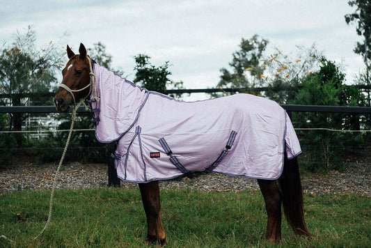 Ruby Rose Fly Mesh Combo Horse Rug // Lavender - Dustybutts Australia