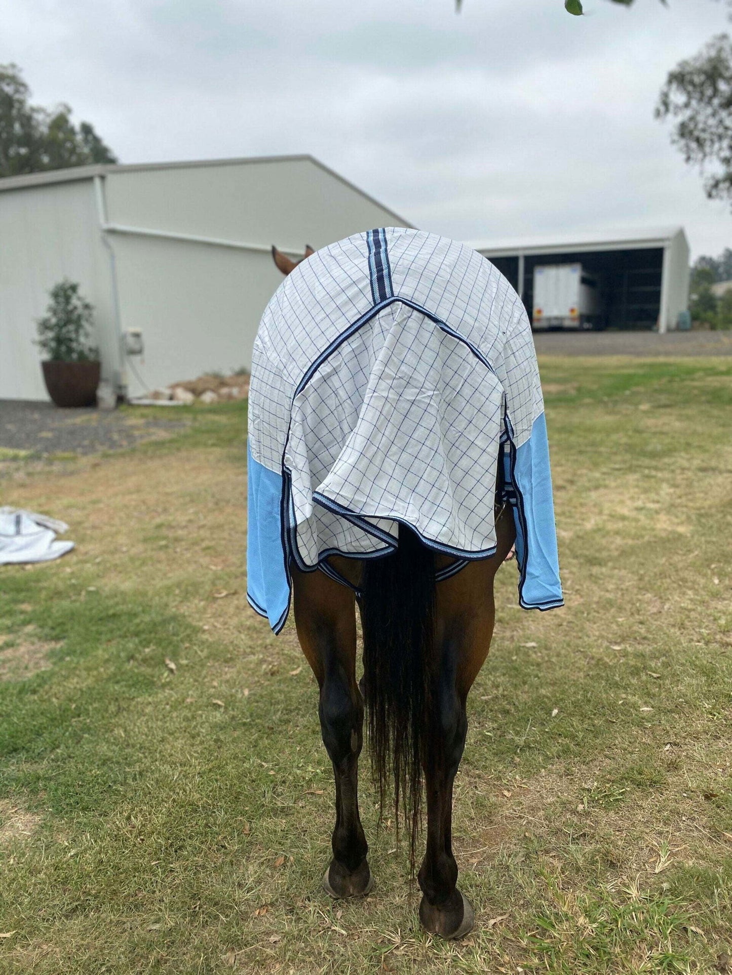 Ruby Rose Poly Cotton/ Mesh Hybrid Combo Horse Rug - Dustybutts Australia