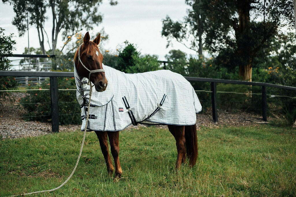 Ruby Rose Ripstop Combo Rug - Dustybutts Australia