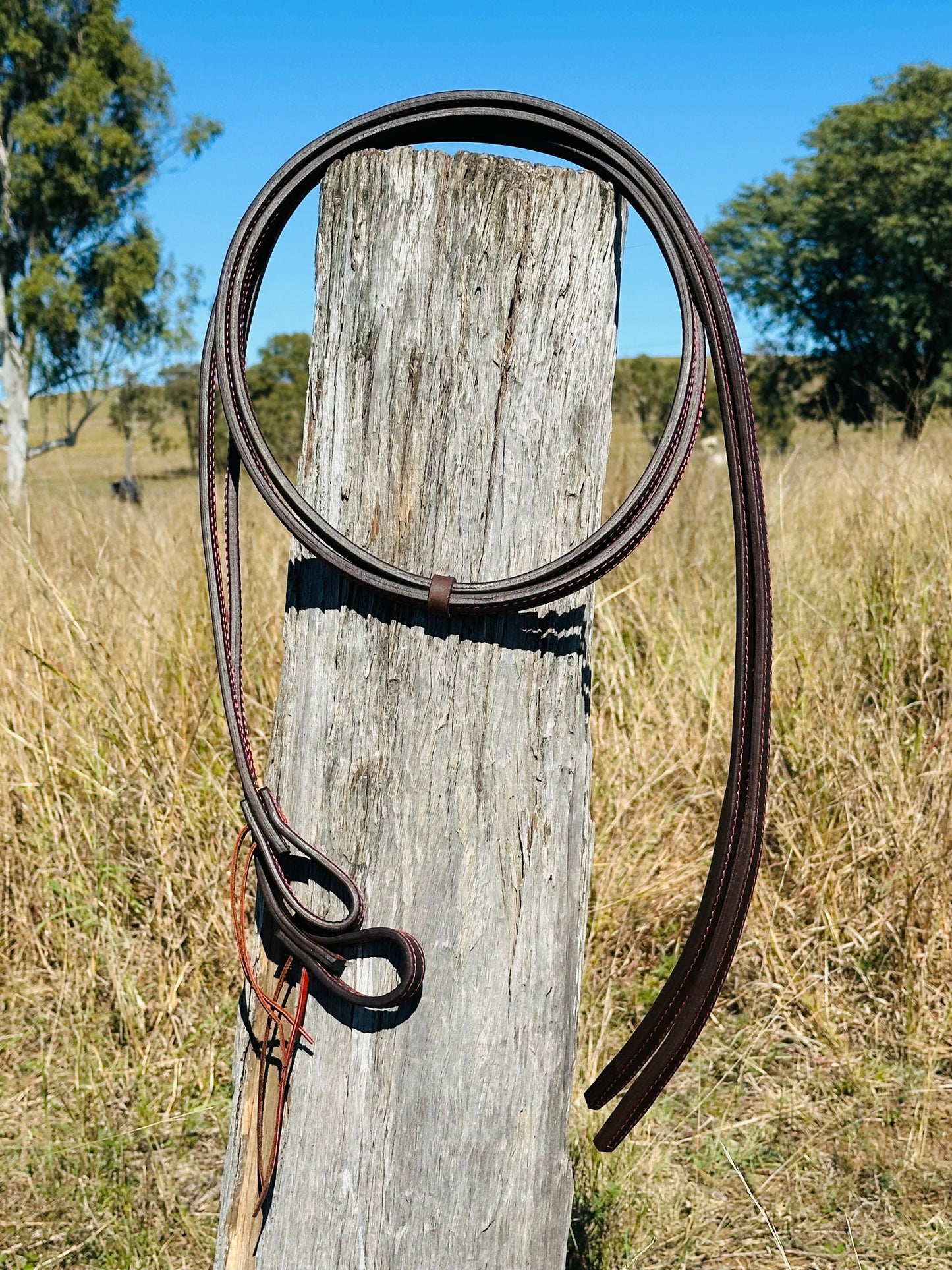 Dustybutts 5/8” Oiled Harness Leather Split Reins // Pink Stitching & Ties