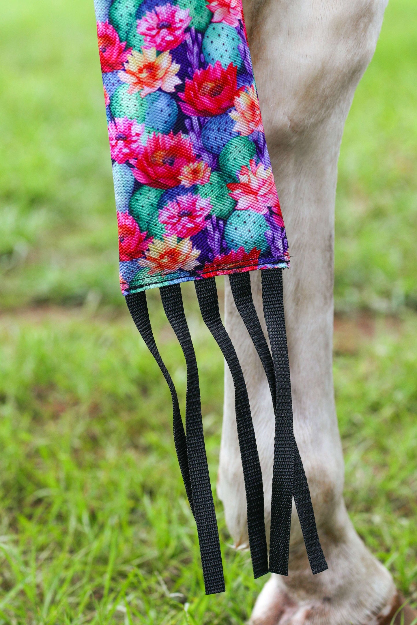 dustybutts-equilux-tail-bags---cactus-bliss-tail-bags-fly-masks-dustybutts-australia--35159383