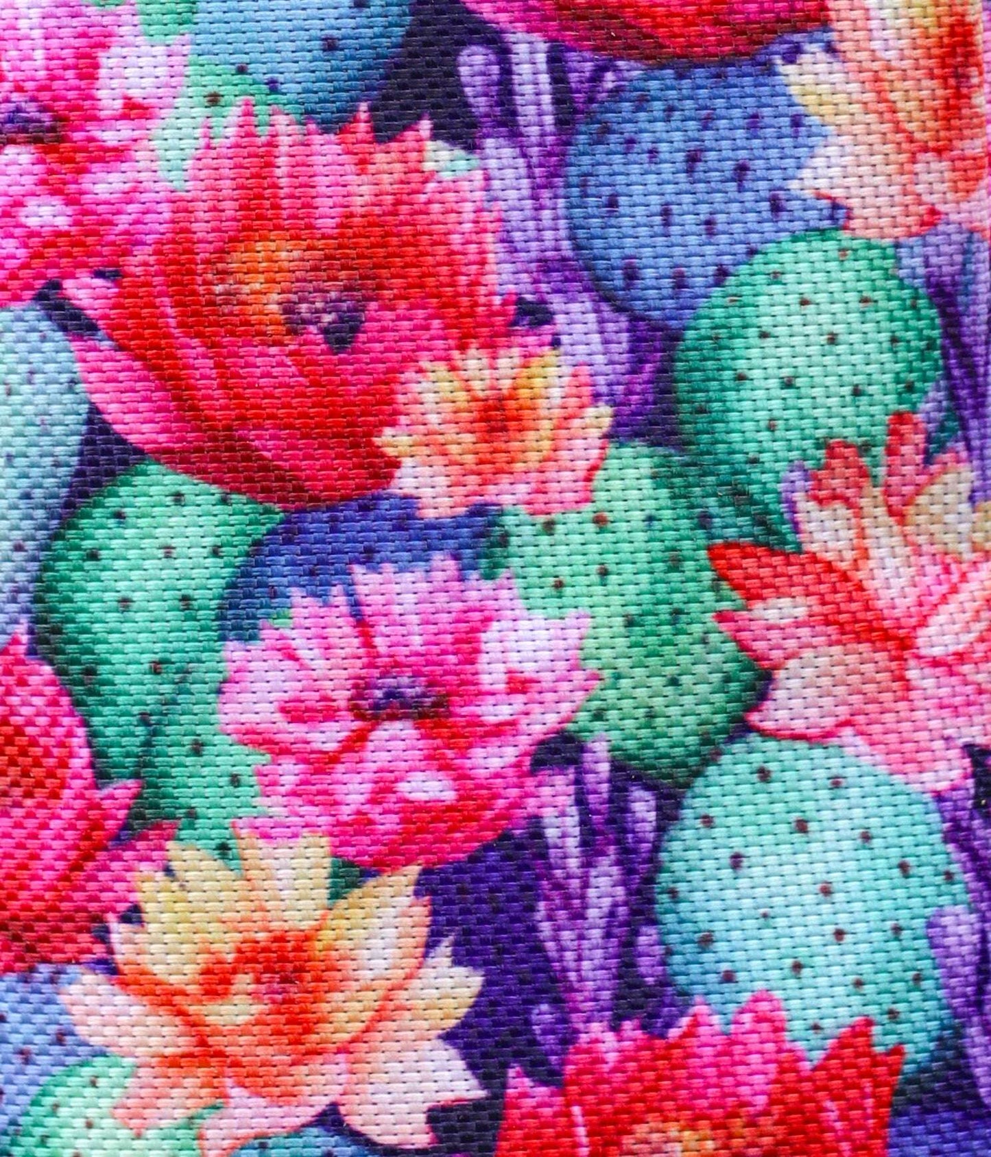 dustybutts-equilux-tail-bags---cactus-bliss-tail-bags-fly-masks-dustybutts-australia--35159385