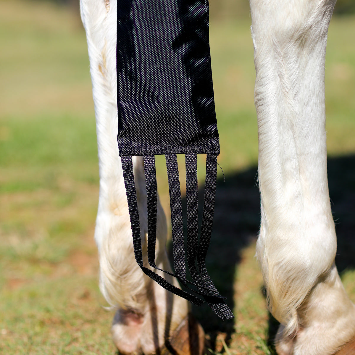 Dustybutts EquiLux Tail Bags - Black