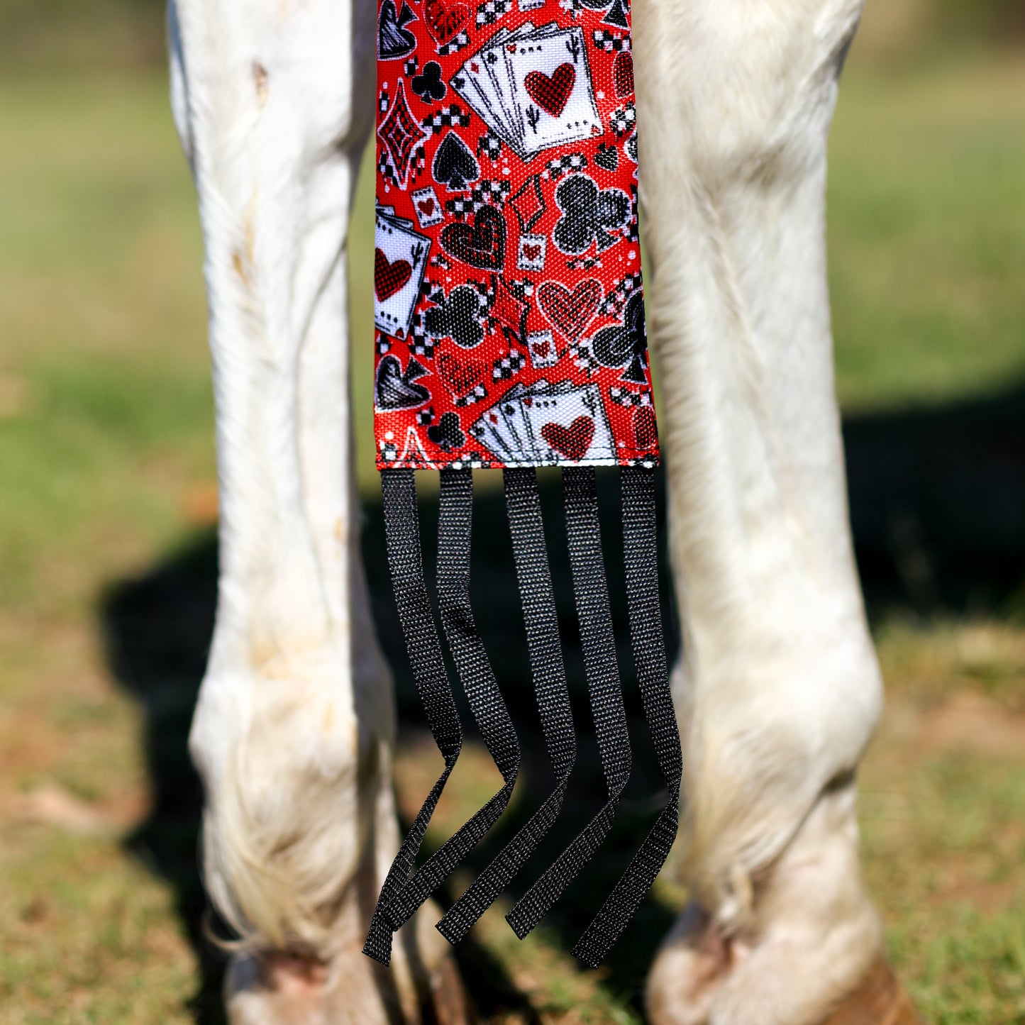 Dustybutts EquiLux Tail Bags - High Rollin’