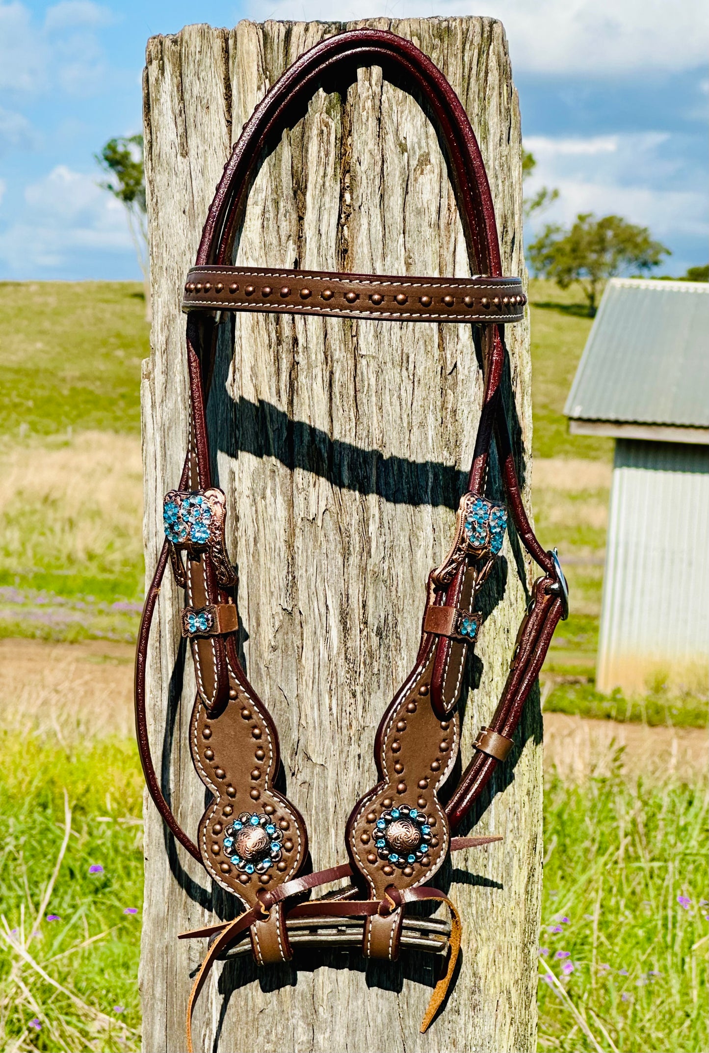 Dustybutts Leather Browband Bridle With Turquoise Buckstitch - Dark Oil
