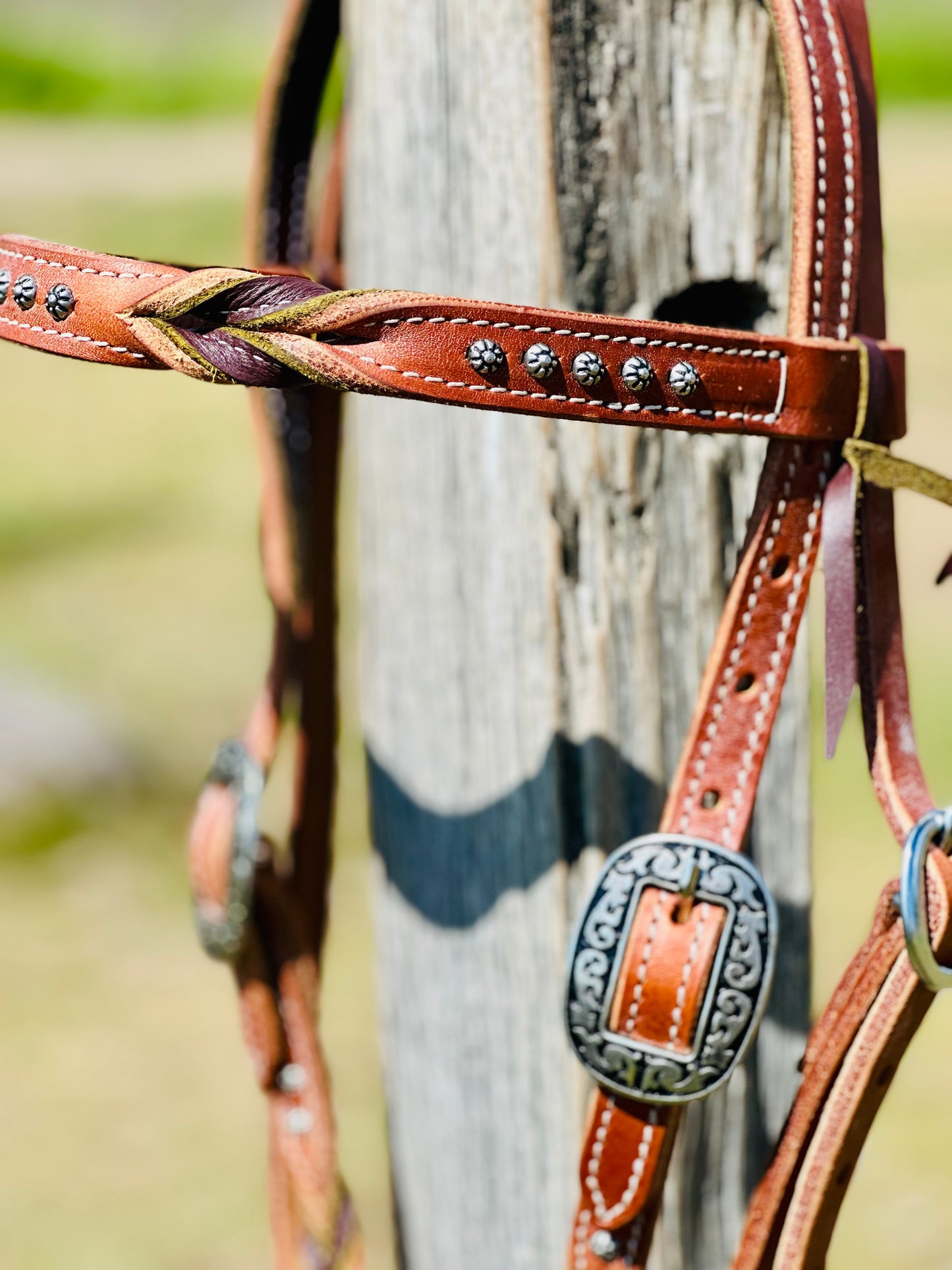 Dustybutts Bloodknot Harness Leather Bridle With Sunspot Studs