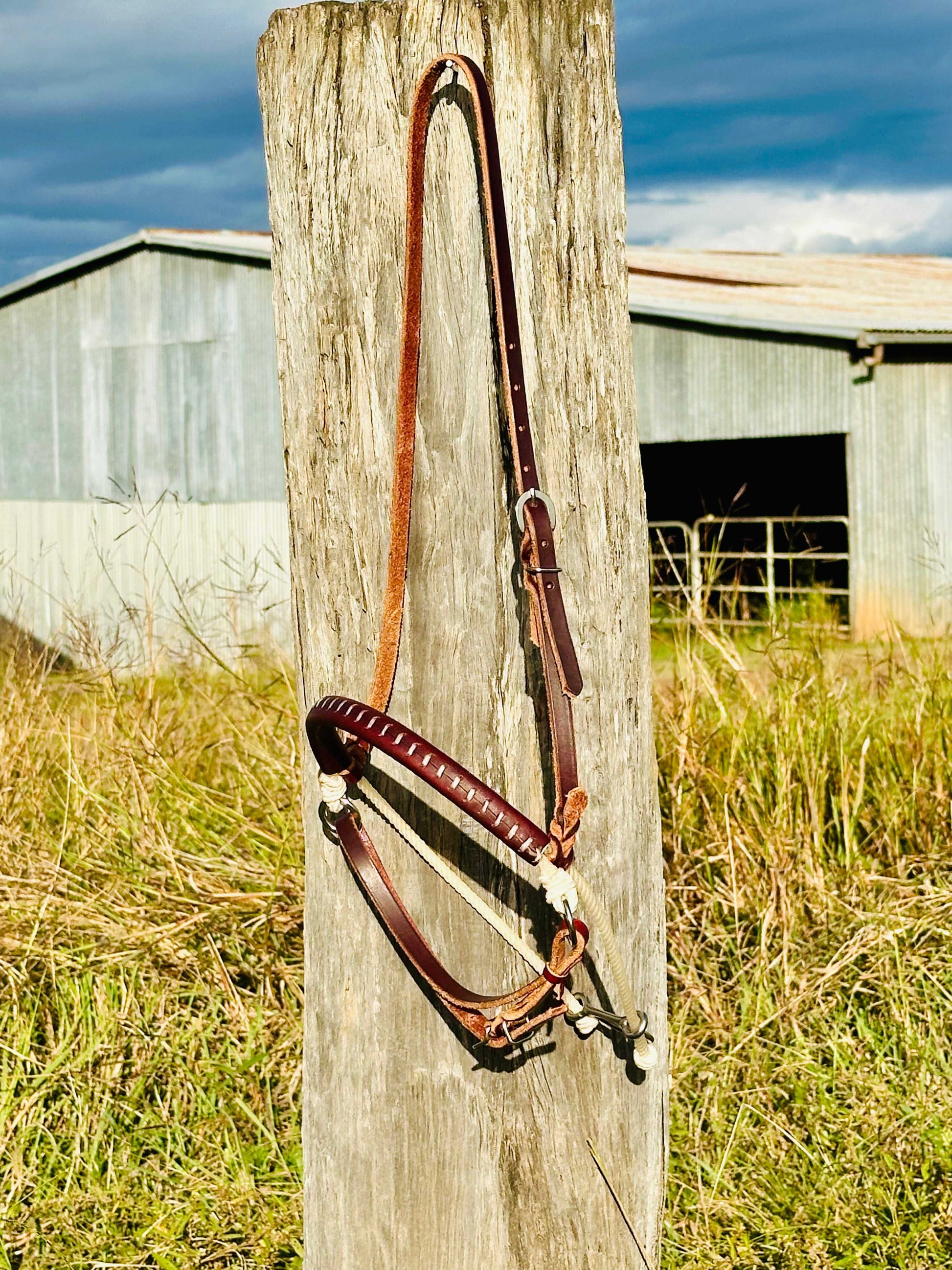 Argentina Leather Single Rope Cavesson Noseband Tiedown