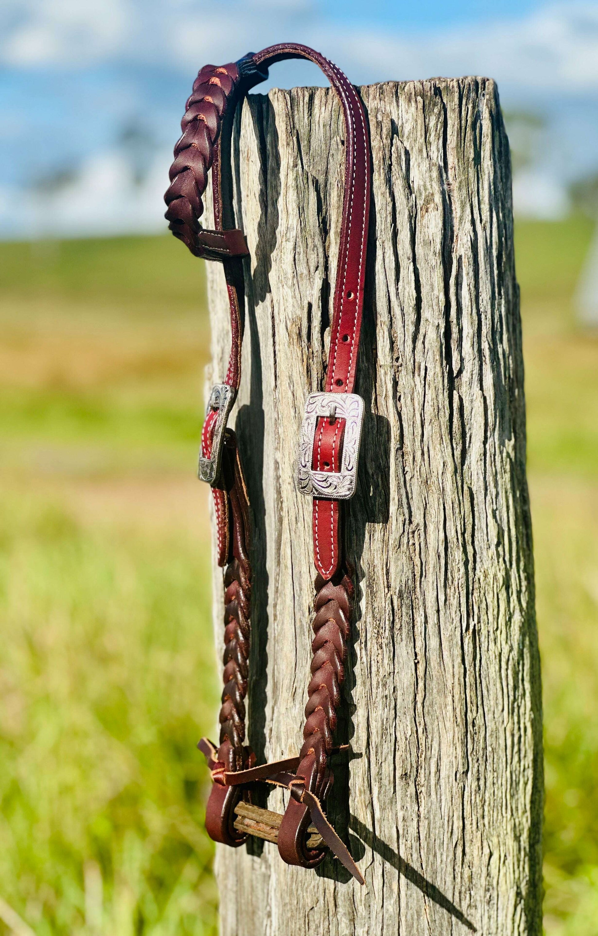 harness-leather-plaited-one-eared-bridle-engraved-stainless-steel-buckle-bridles---dustybutts-australia-35929620