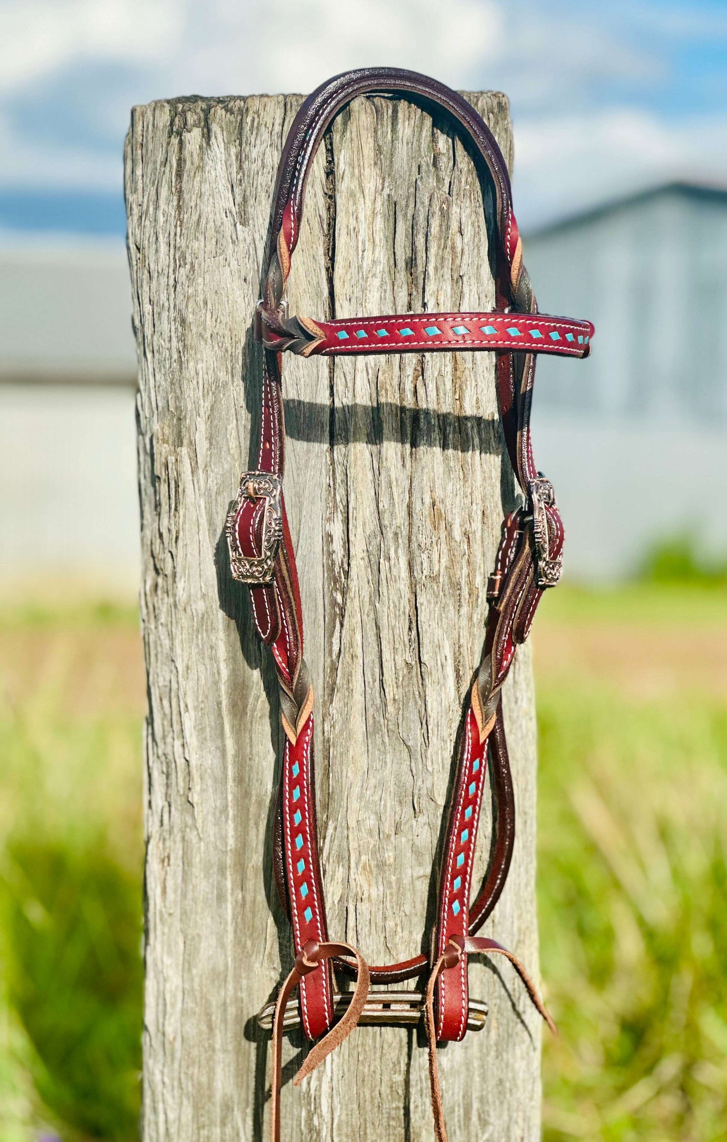 harness-leather-buckstitch-and-bloodknot-browband-bridle---blue-bridles---dustybutts-australia-35929624