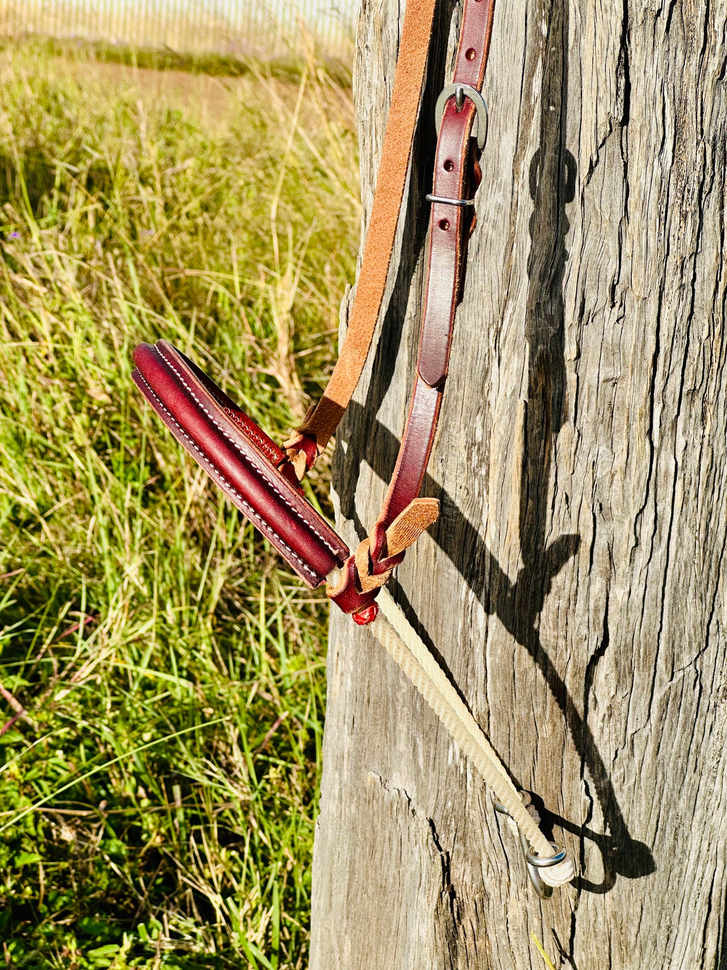 Argentina Leather Single Rope Noseband  Tiedown