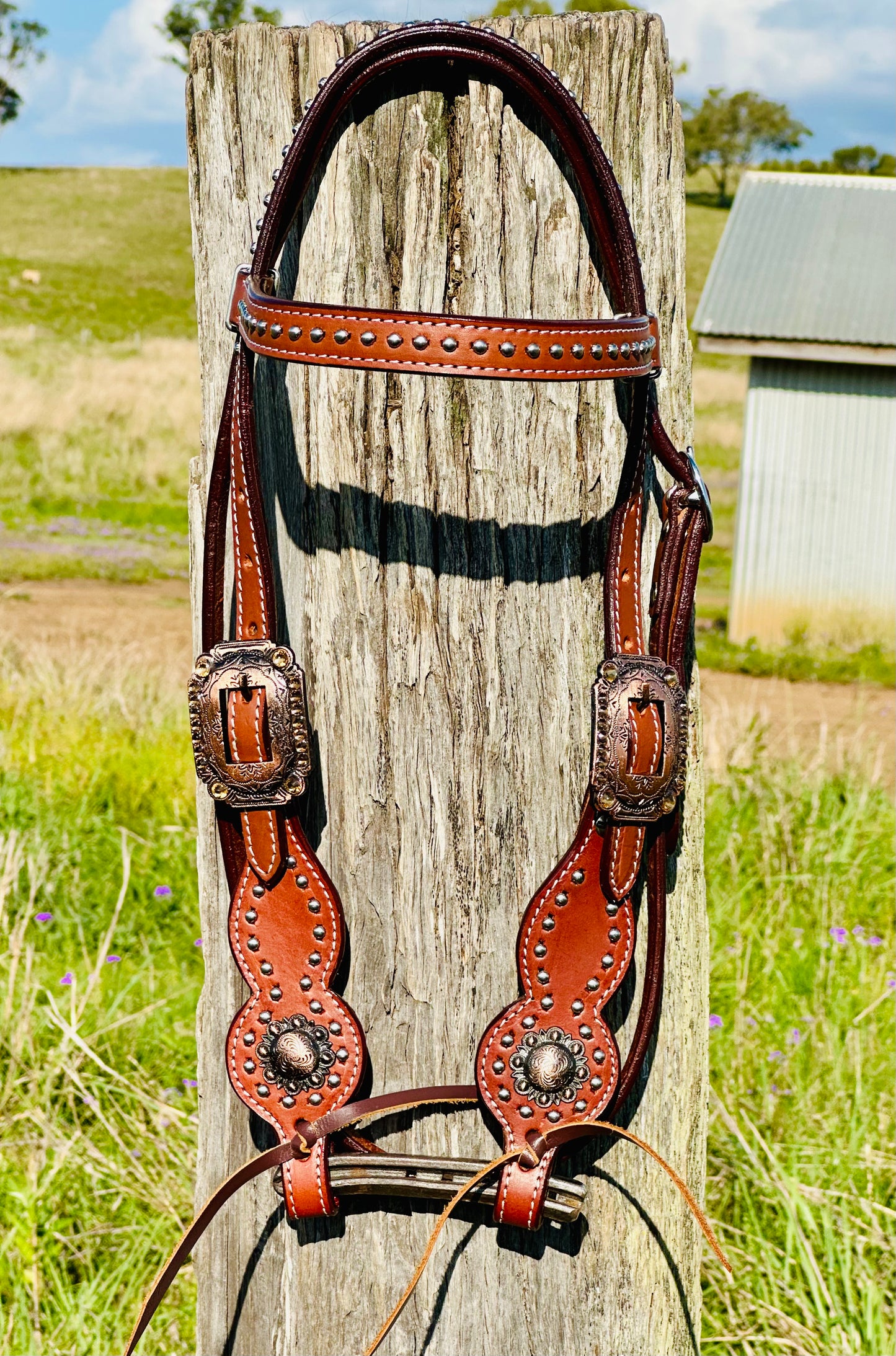Dustybutts Leather Browband Bridle With Turquoise Buckstitch - Medium Oil
