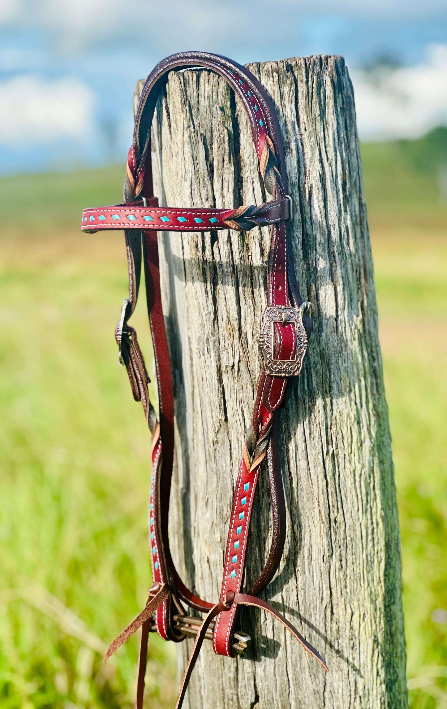 harness-leather-buckstitch-and-bloodknot-browband-bridle---blue-bridles---dustybutts-australia-35929625