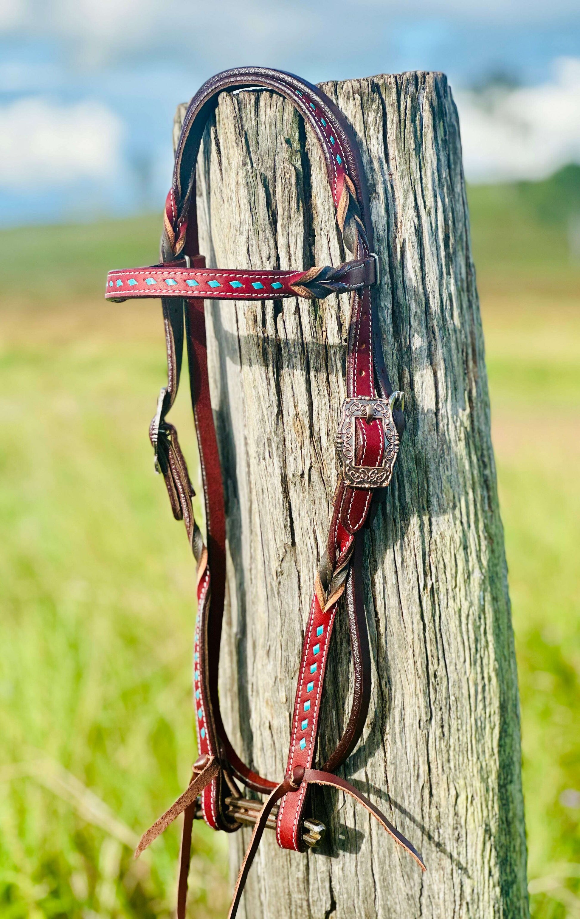 harness-leather-buckstitch-and-bloodknot-browband-bridle---blue-bridles---dustybutts-australia-35929625