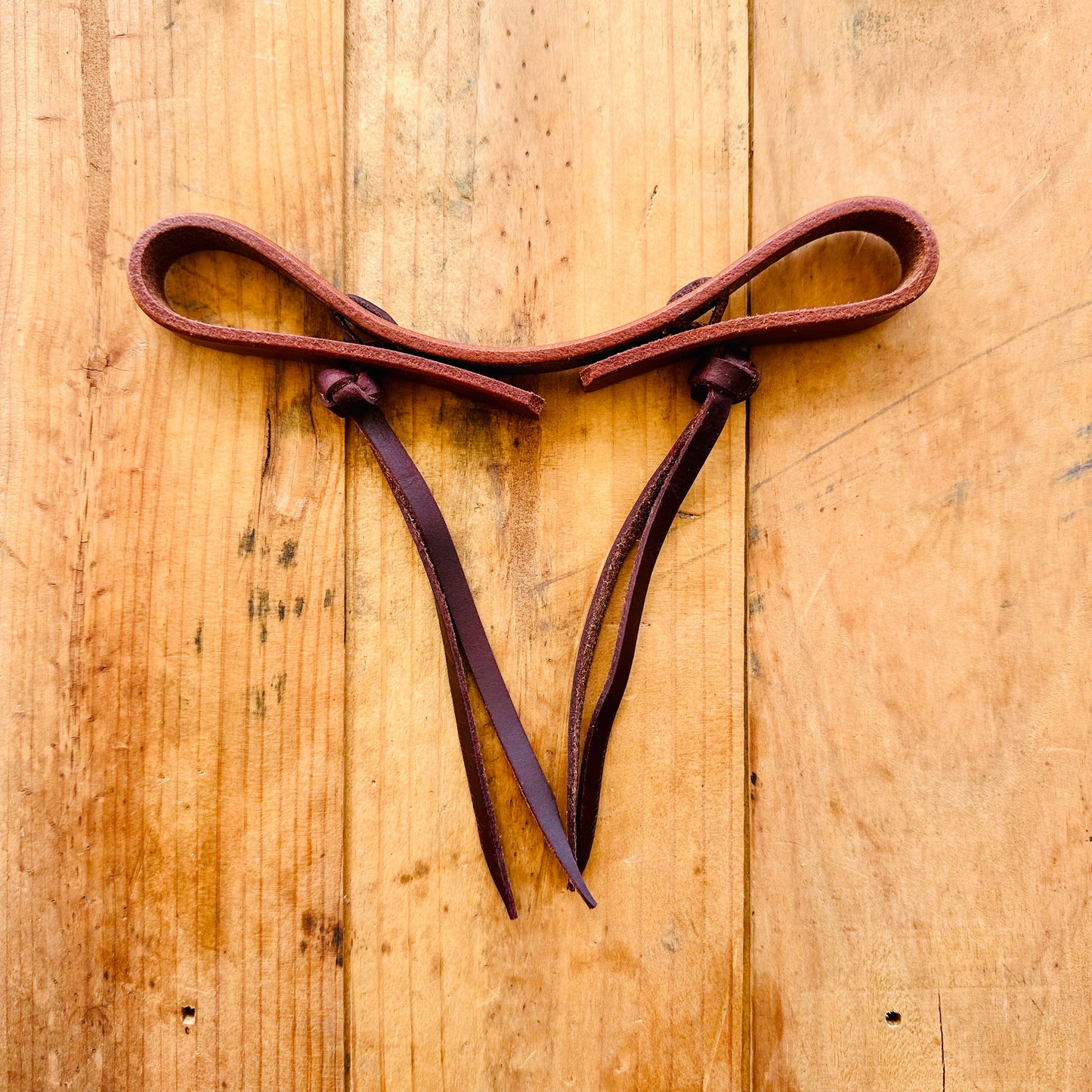 Double Knot Argentina Cow Leather Curb Strap